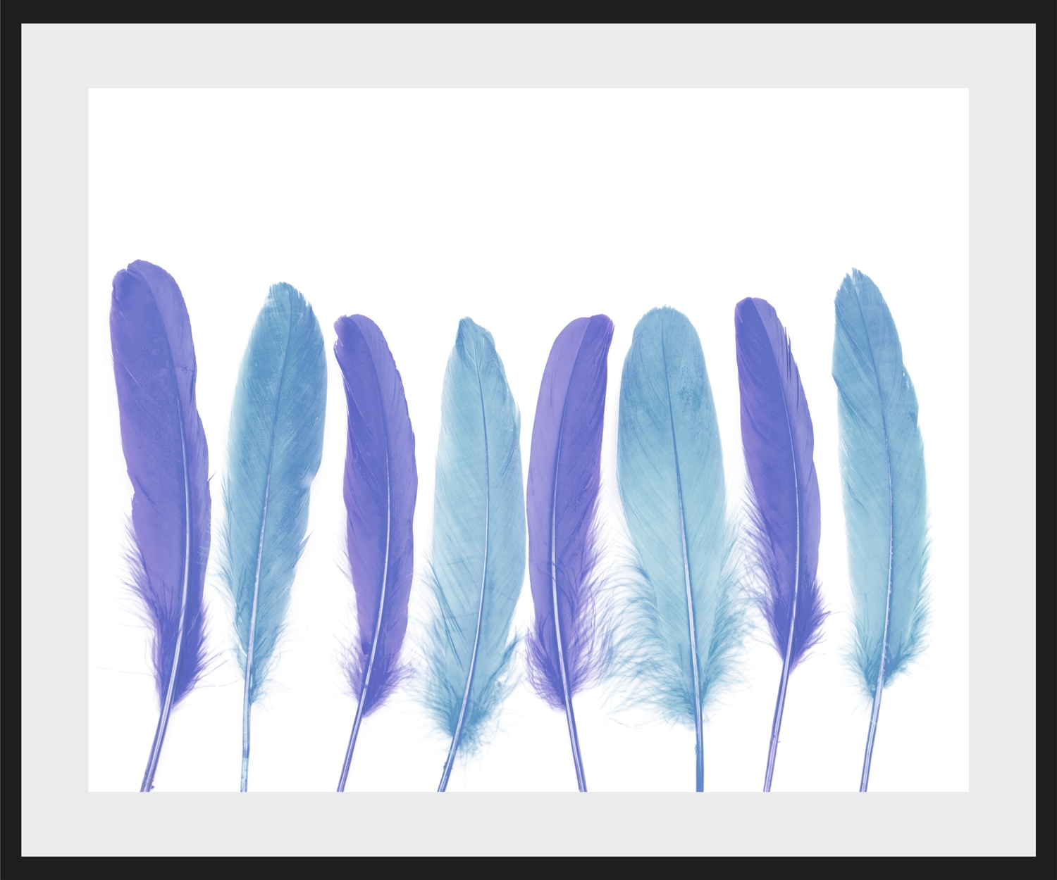 queence Bild "Bello" Federn  Kunst