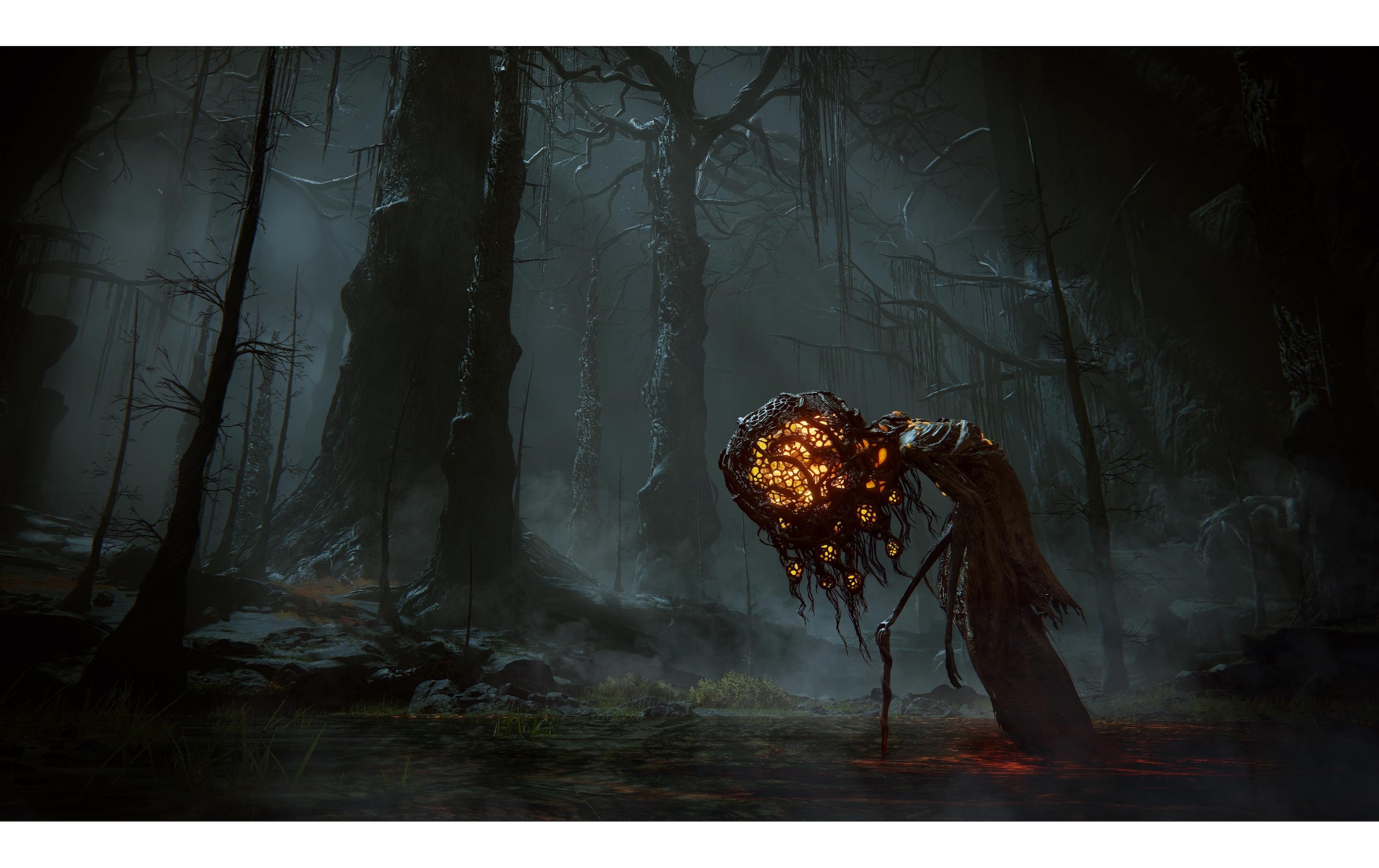 BANDAI NAMCO Spielesoftware »Namco Elden Ring – Shadow of the Erdtree Edition«, Xbox Series X
