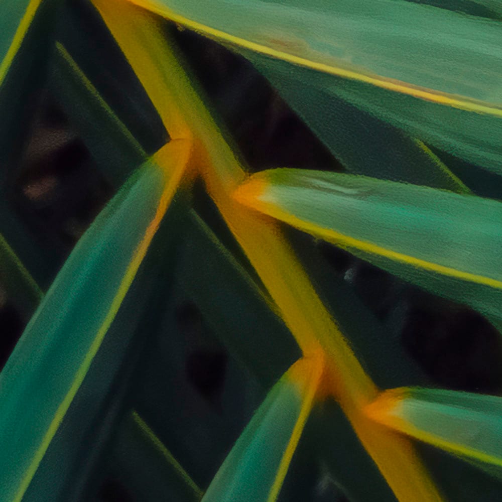 Komar Fototapete »Digitaldruck Vlies - Amazon Fern - Grösse 400 x 250 cm«, bedruckt, Wohnzimmer, Schlafzimmer