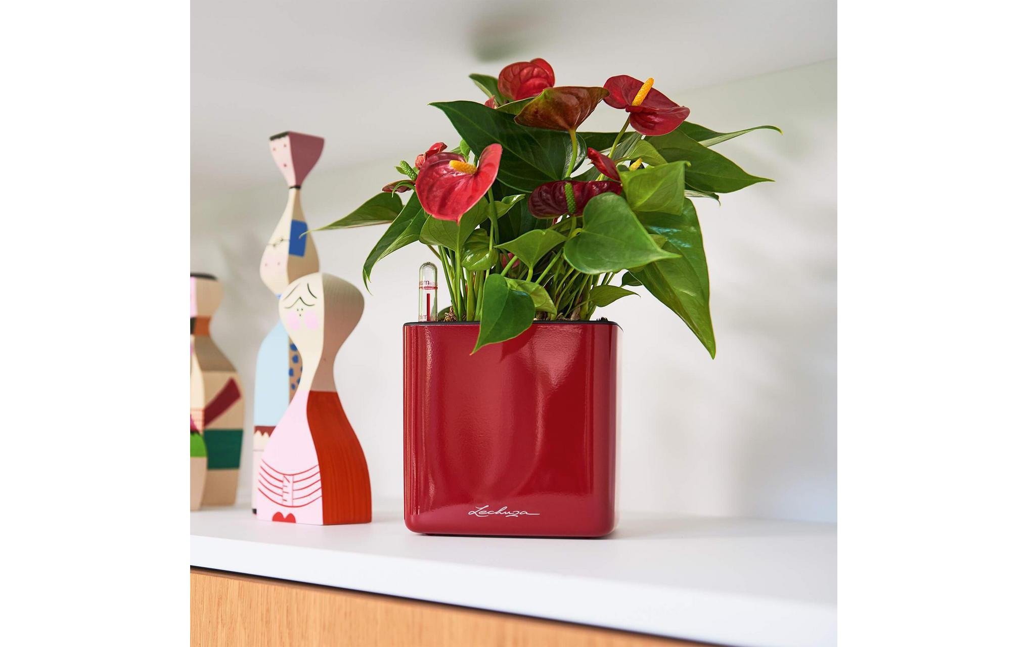 Blumentopf »Lechuza CUBE Glossy 14 winteredition«
