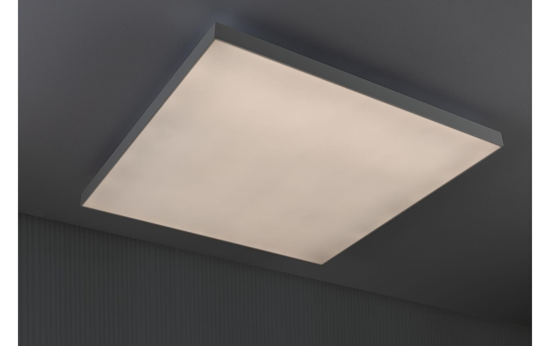 Paulmann Deckenleuchte »LED Panel Ve«, 1 flammig