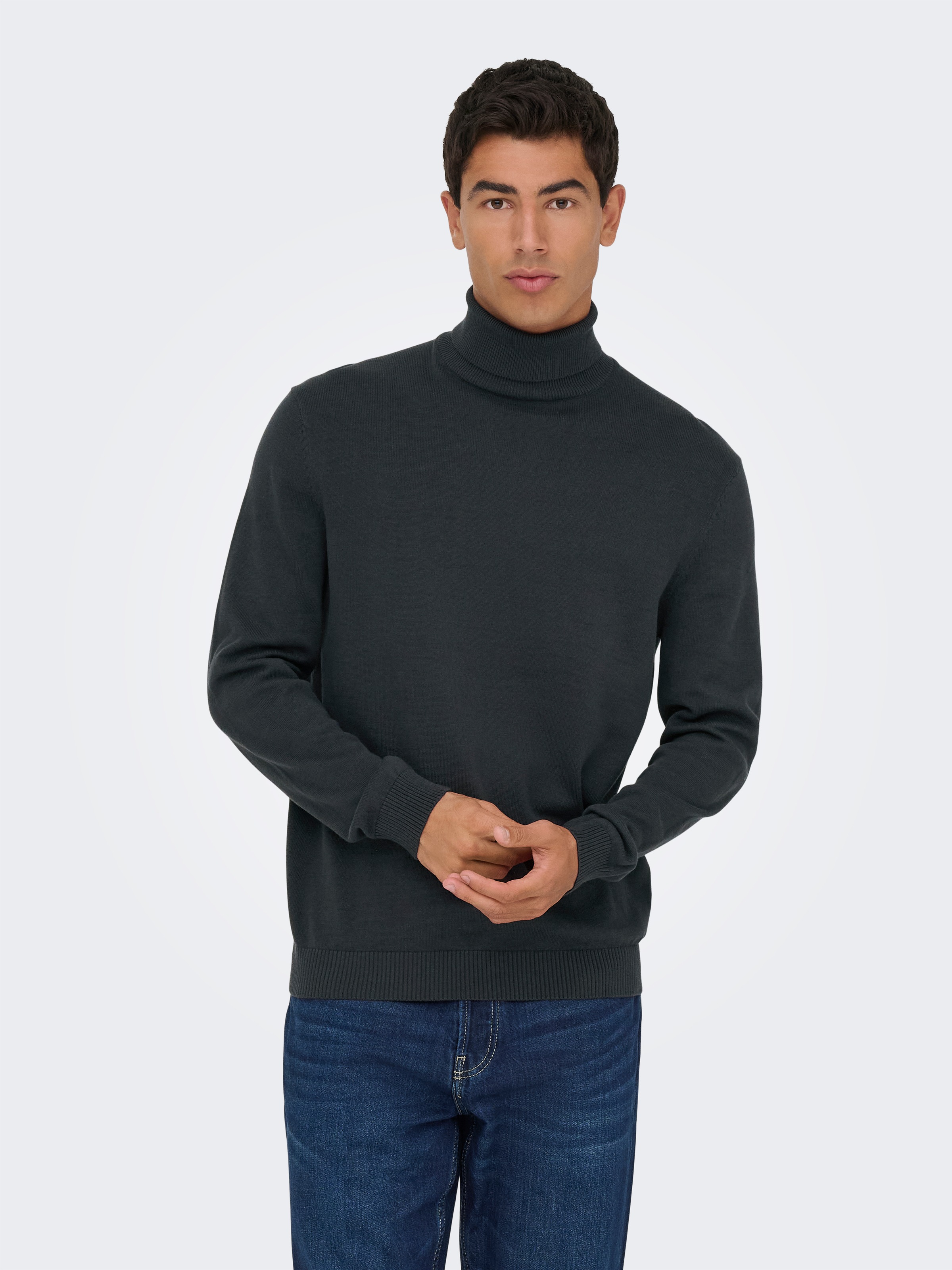 ONLY & SONS Rollkragenpullover »ONSHOLGER REG ROLL NECK KNIT - OTL«