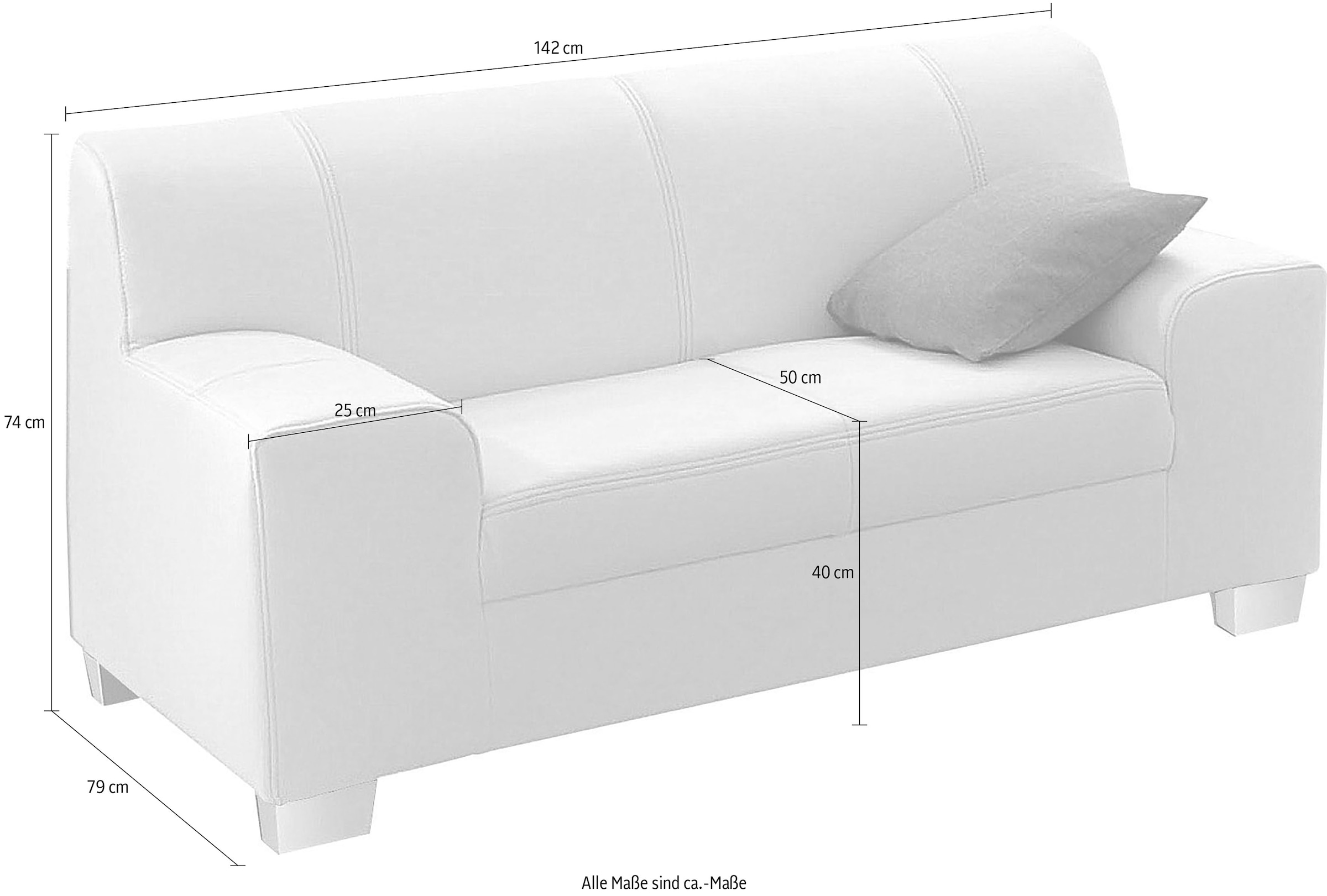 DOMO collection 2-Sitzer »Amando zeitlos und modern, komfortabel,«, in vielen Bezugsvarianten, auch in Leder