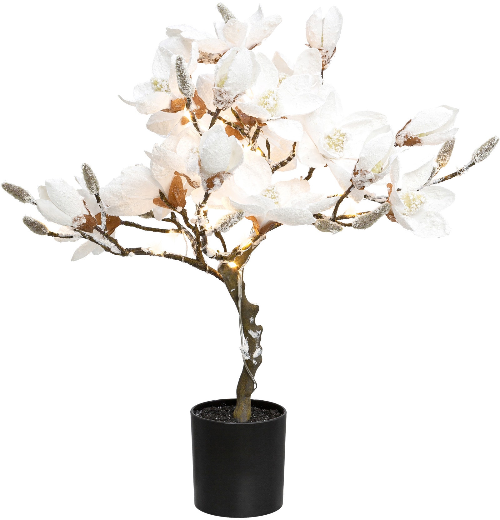 Kunstpflanze »Magnolie«, beschneit, Höhe ca. 58 cm, mit 20 LEDs