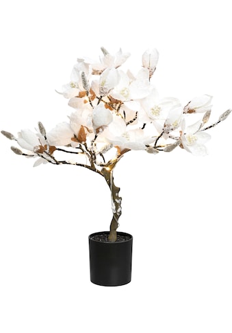 Creativ deco LED Baum »Magnolie«, Warmweiss, beschneit, Höhe ca. 58 cm, mit 20 LEDs kaufen