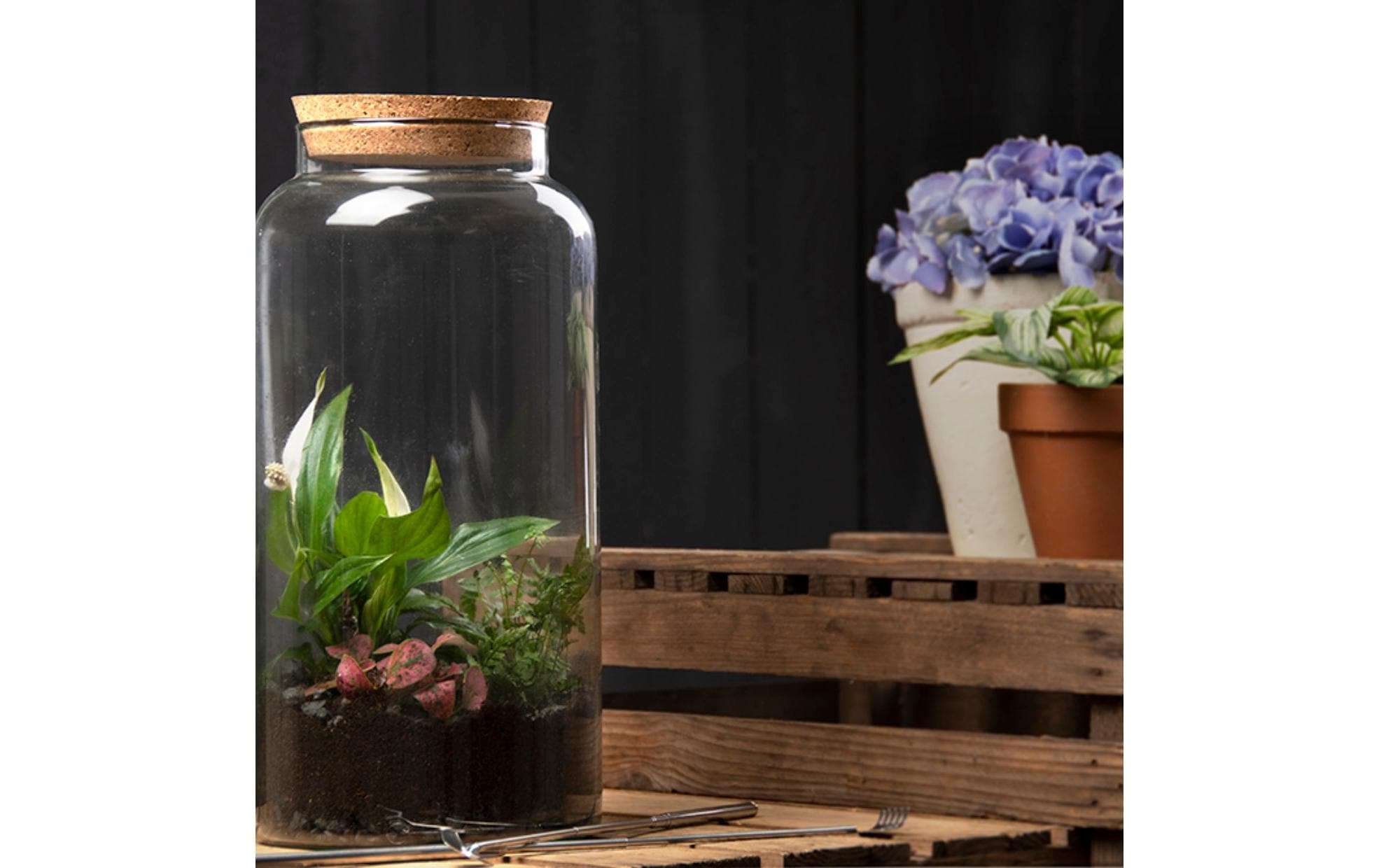 esschert design Terrarium »L, 45430 x 41.3 cm«