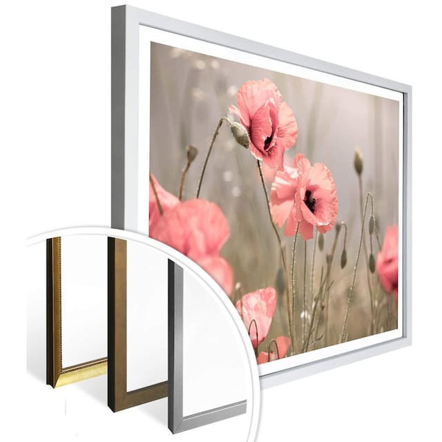 Wall-Art Poster »Romantische Mohnblume«, Blumen, (1 St.) online kaufen |  Jelmoli-Versand