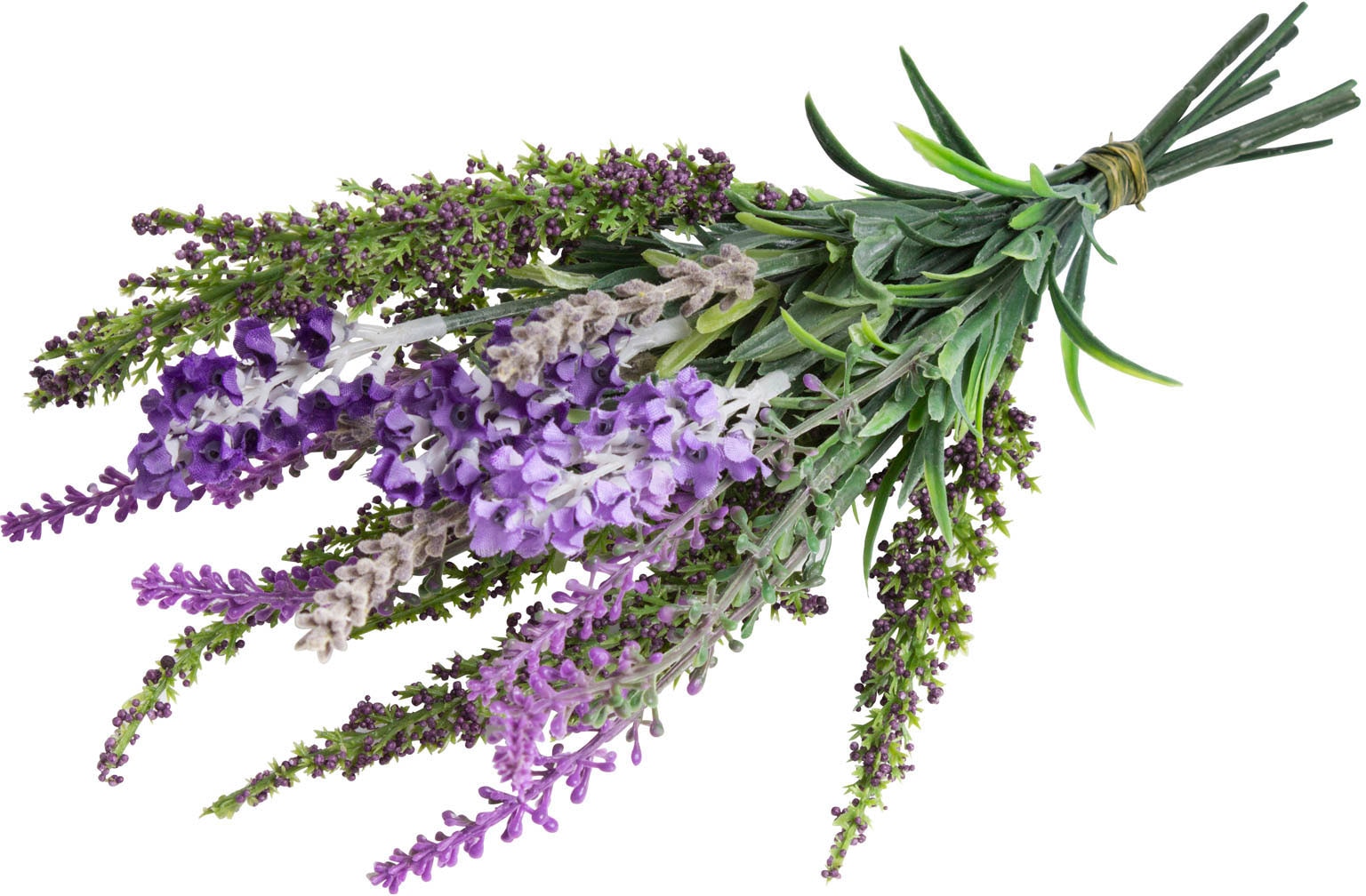 kaufen - Jelmoli-Versand »Lavendel | Botanic-Haus online Erika Bündel« Kunstzweig