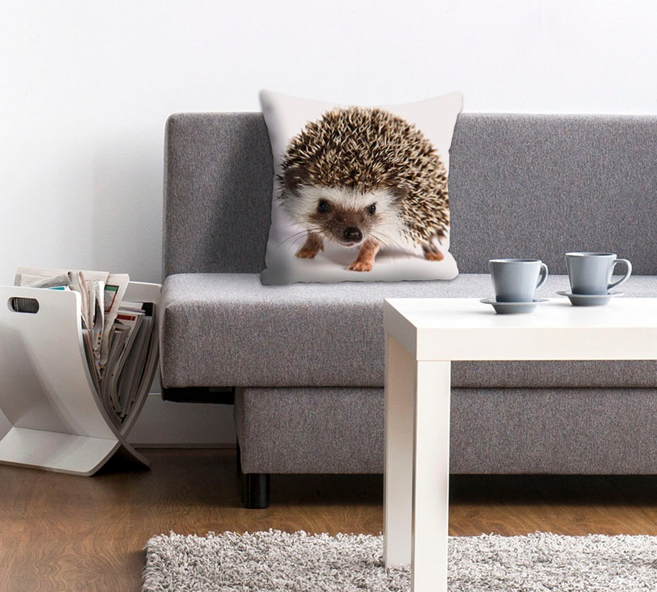 queence Dekokissen »Veit«, (1 St.), mit knuffigem Igel kaufen