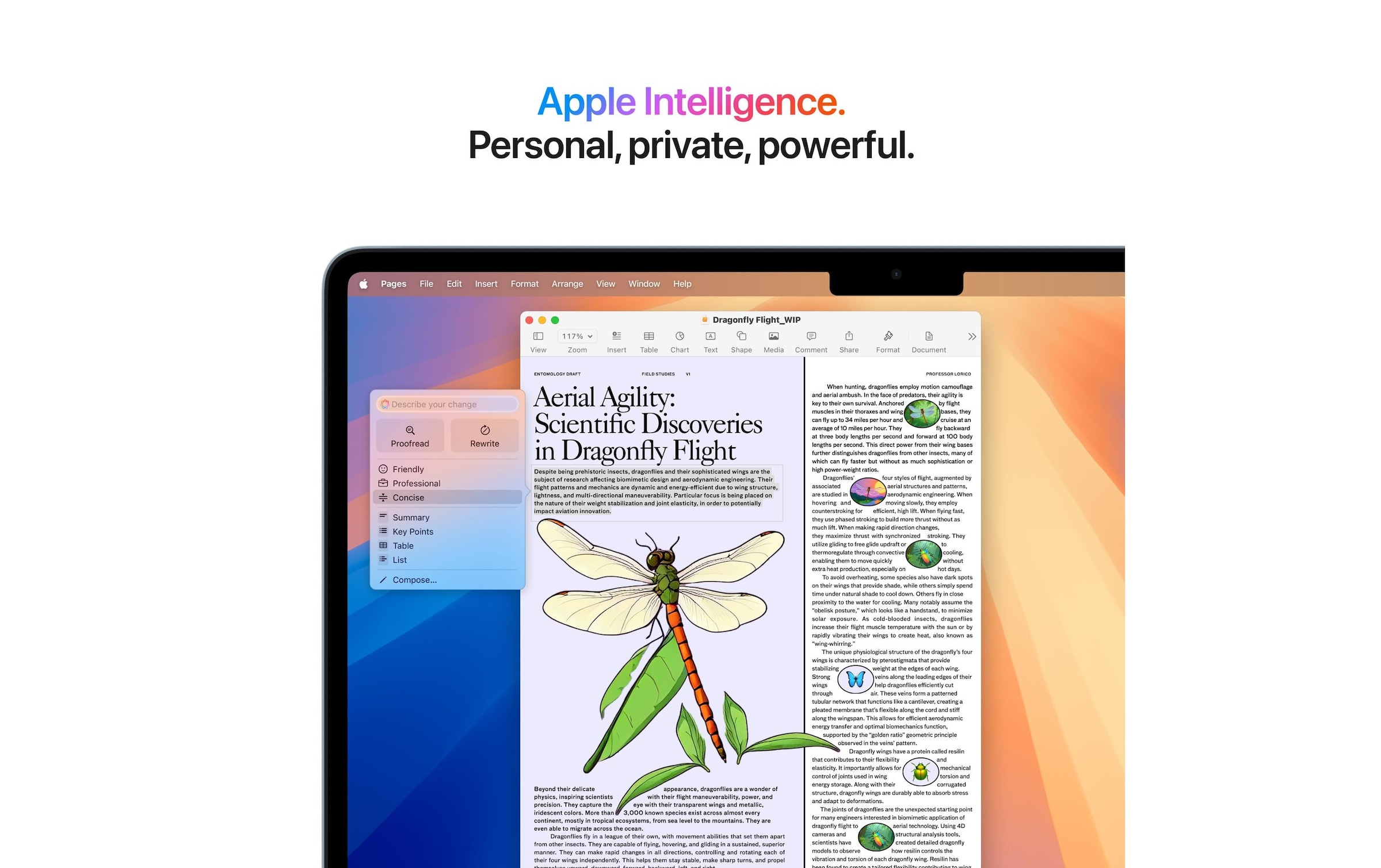 Apple Notebook »Air 13 2025 M4 8C GPU / 16 GB / 256 GB Sky Blue«