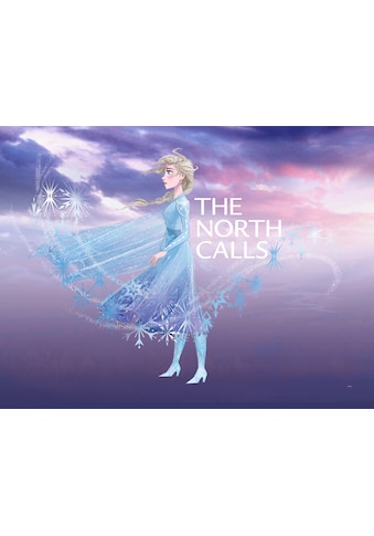 Poster »Frozen Elsa The North Calls«, Disney, (1 St.)