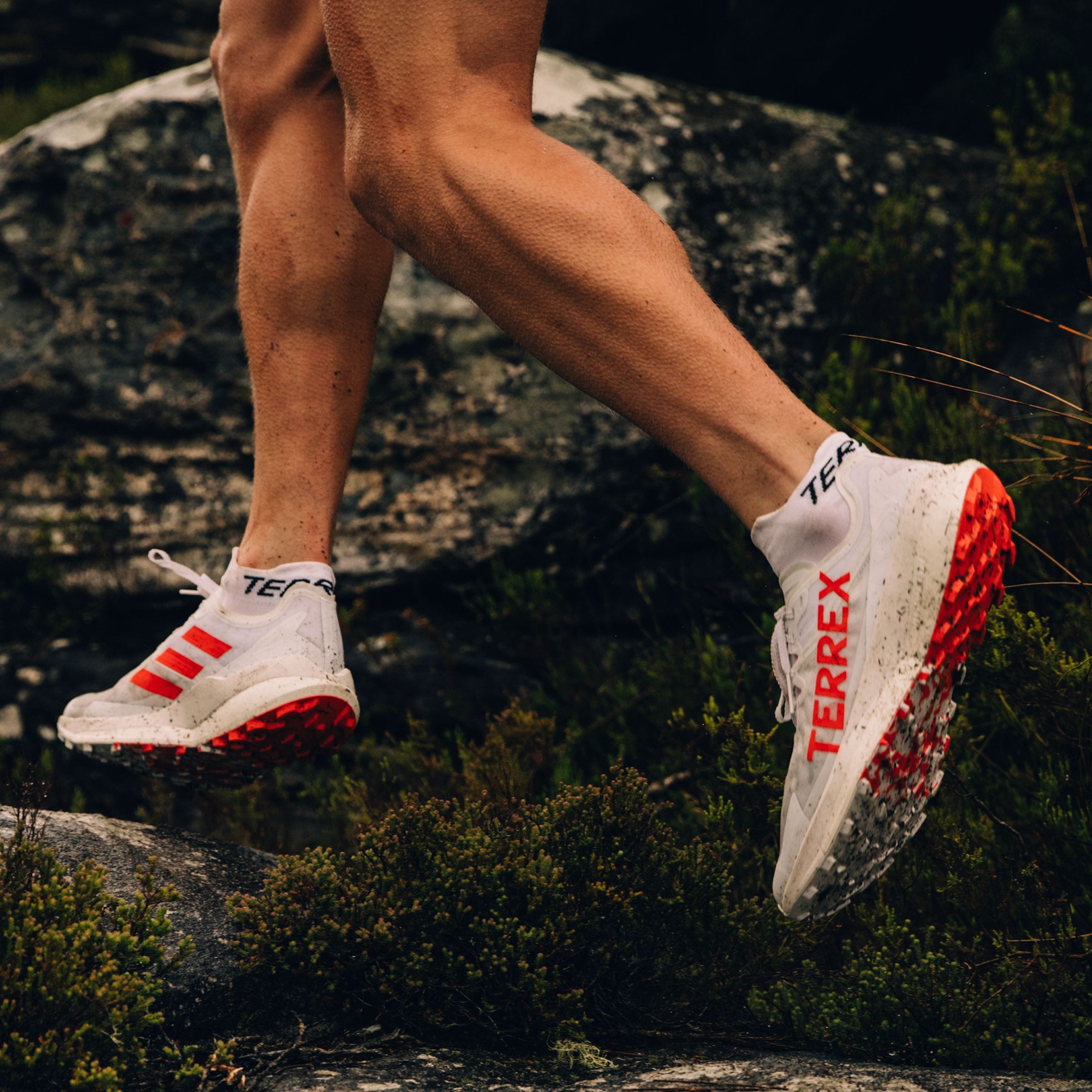 adidas TERREX Trailrunningschuh »TERREX AGRAVIC SPEED TRAILRUNNING«