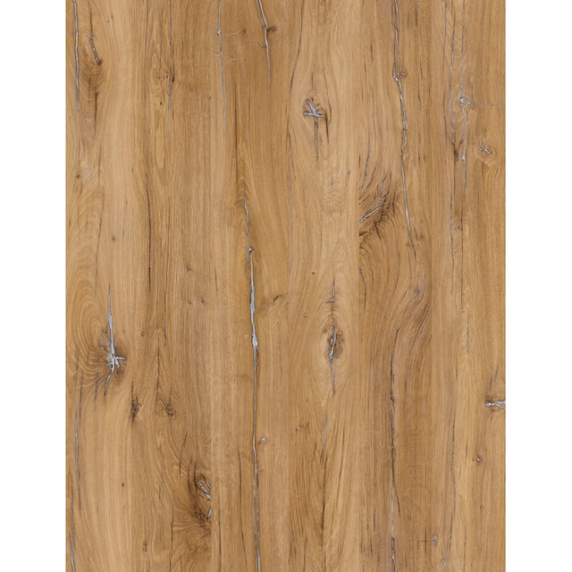 ❤ INOSIGN Stauraumvitrine »CASABLANCA«, Soft-Close, Höhe 113 cm entdecken  im Jelmoli-Online Shop