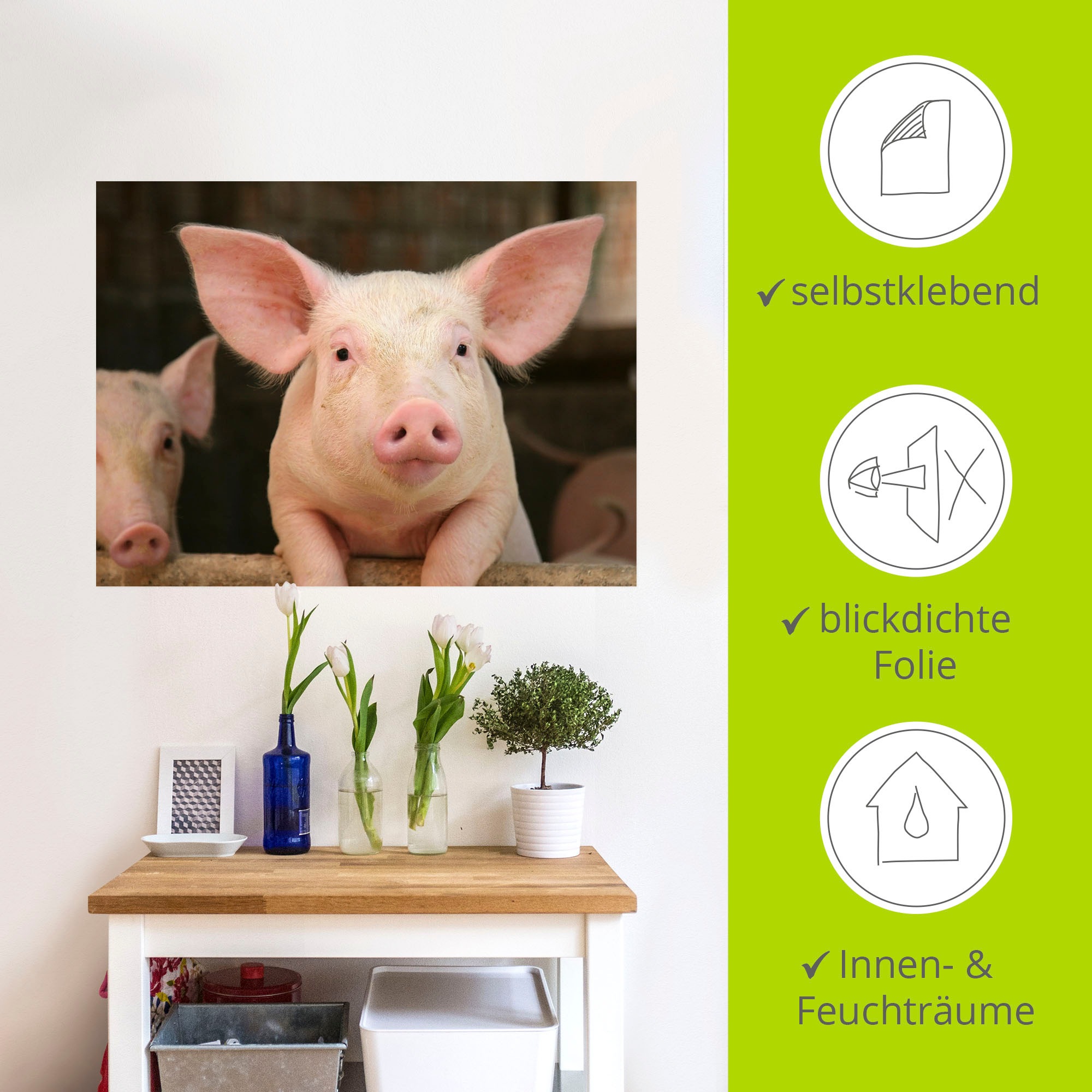Artland Wandbild »Vorwitziges Schwein«, Haustiere, (1 St.), als Leinwandbild, Wandaufkleber in verschied. Grössen
