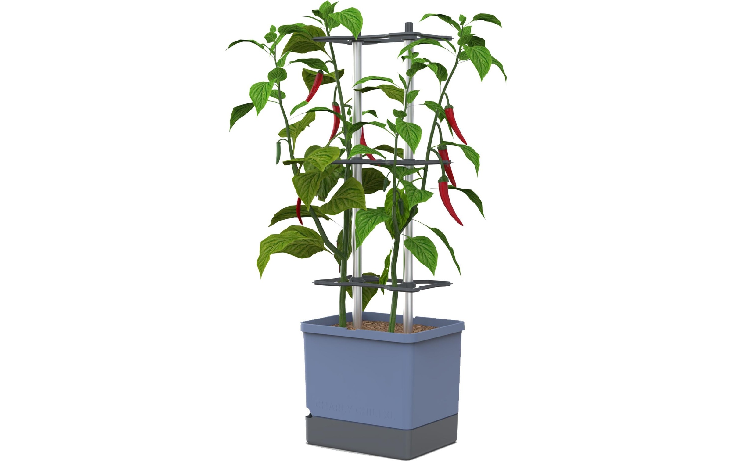 Gusta Garden Anzuchttopf »Charly Chili XL«