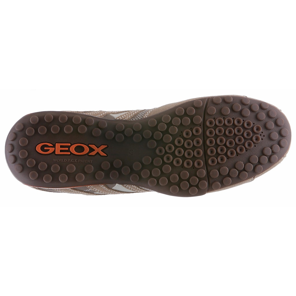 Geox Sneaker »Snake«