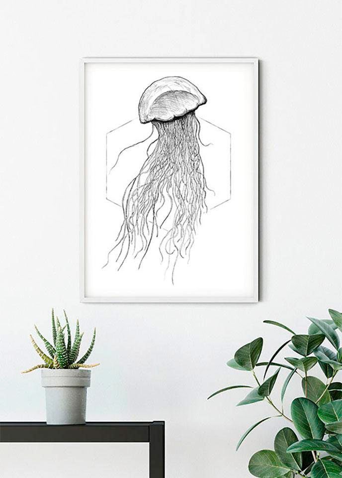 Poster entdecken Jelmoli-Online Schlafzimmer, Komar White«, Shop (1 »Jellyfish Tiere, Kinderzimmer, im St.), ❤ Wohnzimmer