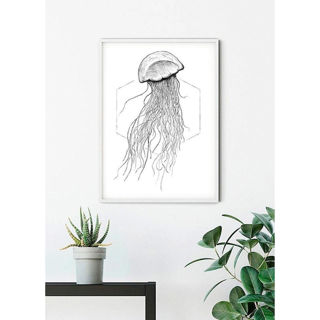 ❤ Komar Poster »Jellyfish White«, Tiere, (1 St.), Kinderzimmer, Schlafzimmer,  Wohnzimmer entdecken im Jelmoli-Online Shop | Poster