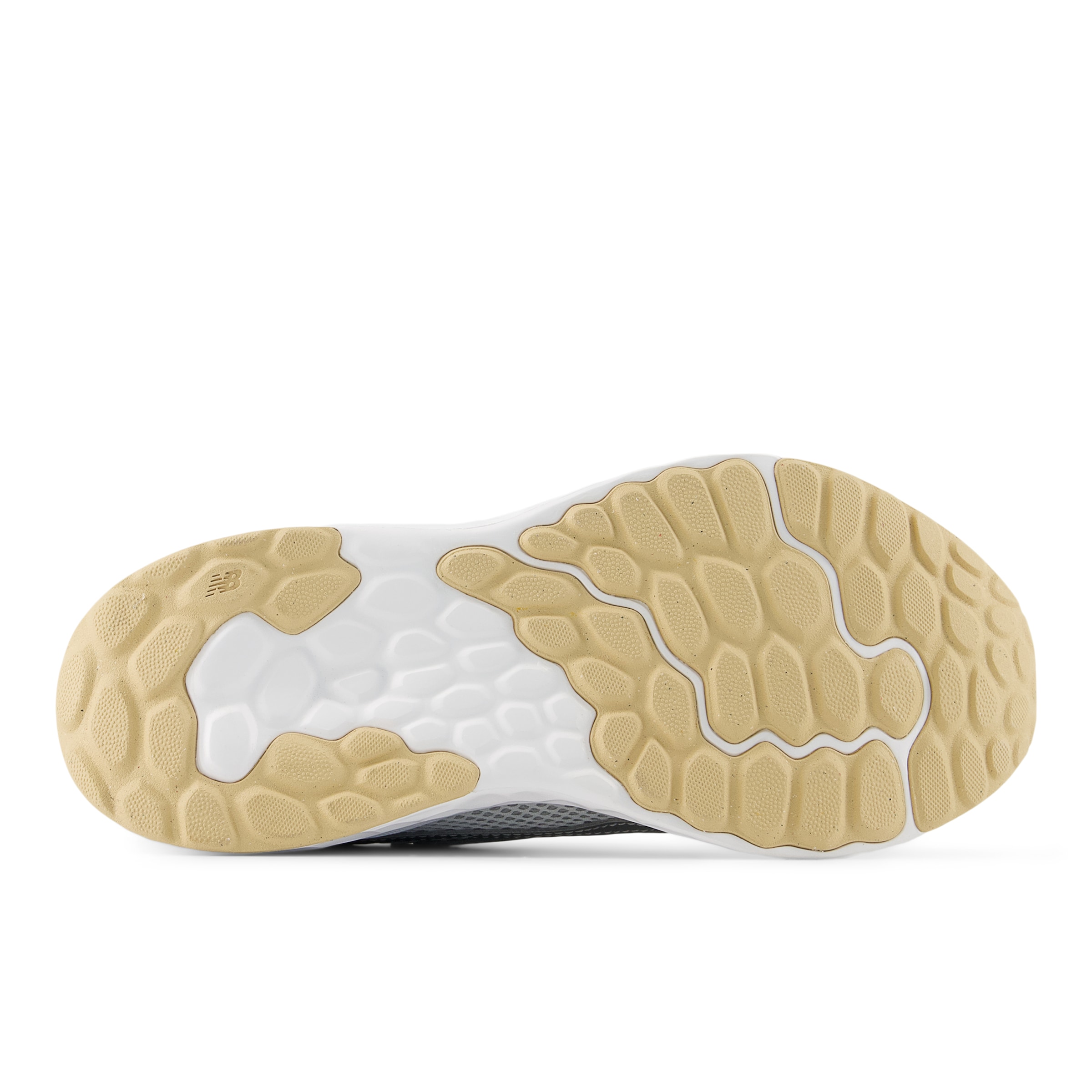 New Balance Laufschuh »FRESH FOAM ARISHI V4«