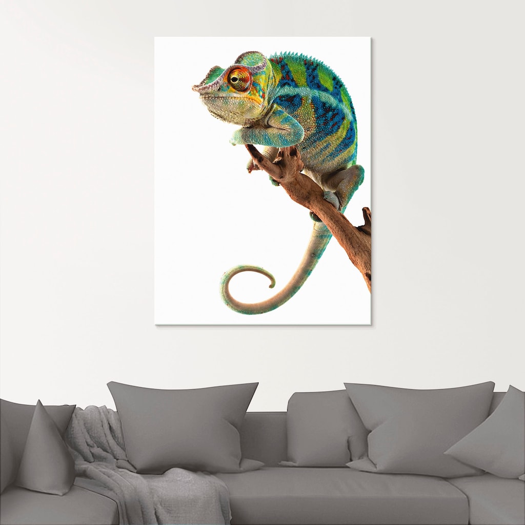 Artland Glasbild »Ambanja Panther Chamäleon«, Reptilien, (1 St.)
