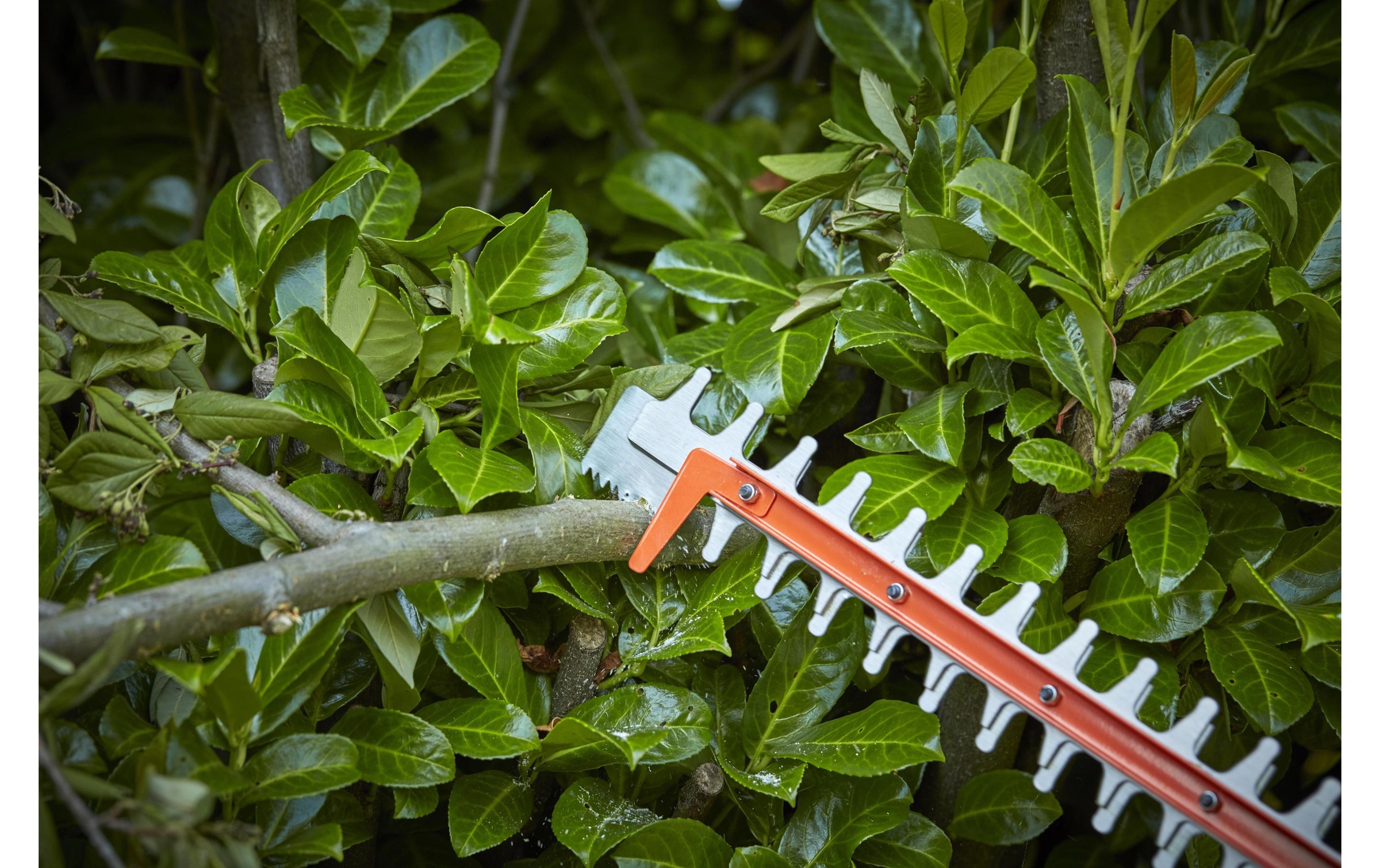 Black + Decker Akku-Heckenschere »BLACK+DECKER Akku-Heckenschere BCHTS36B Solo«