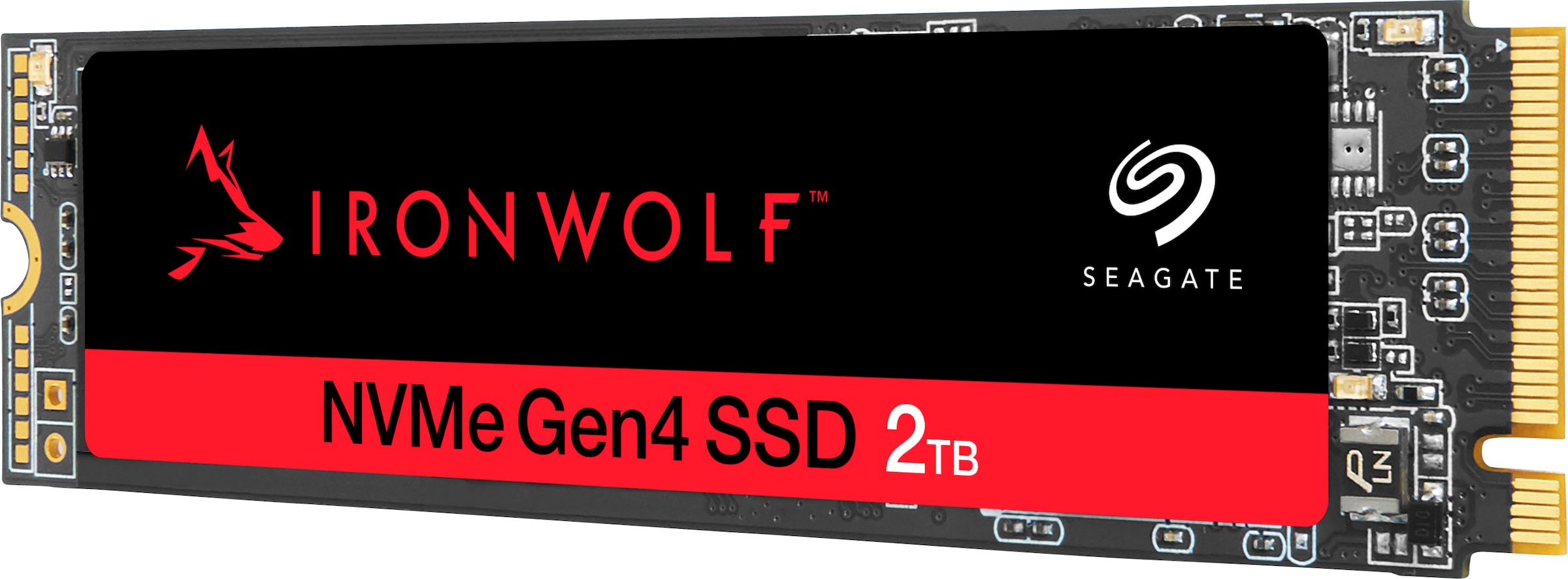 Seagate interne SSD »IronWolf®525«