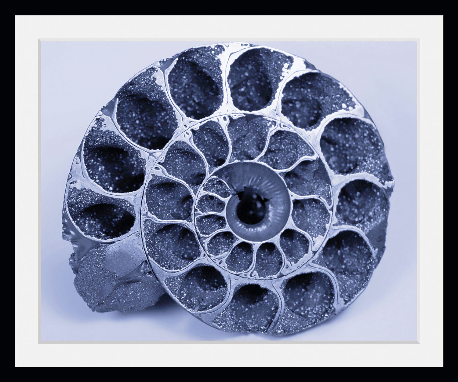 queence Bild »Christoph«, Meer-Wassertiere-Kunst, (1 St.), HD Premium Poster-Druck inkl. Holzrahmen
