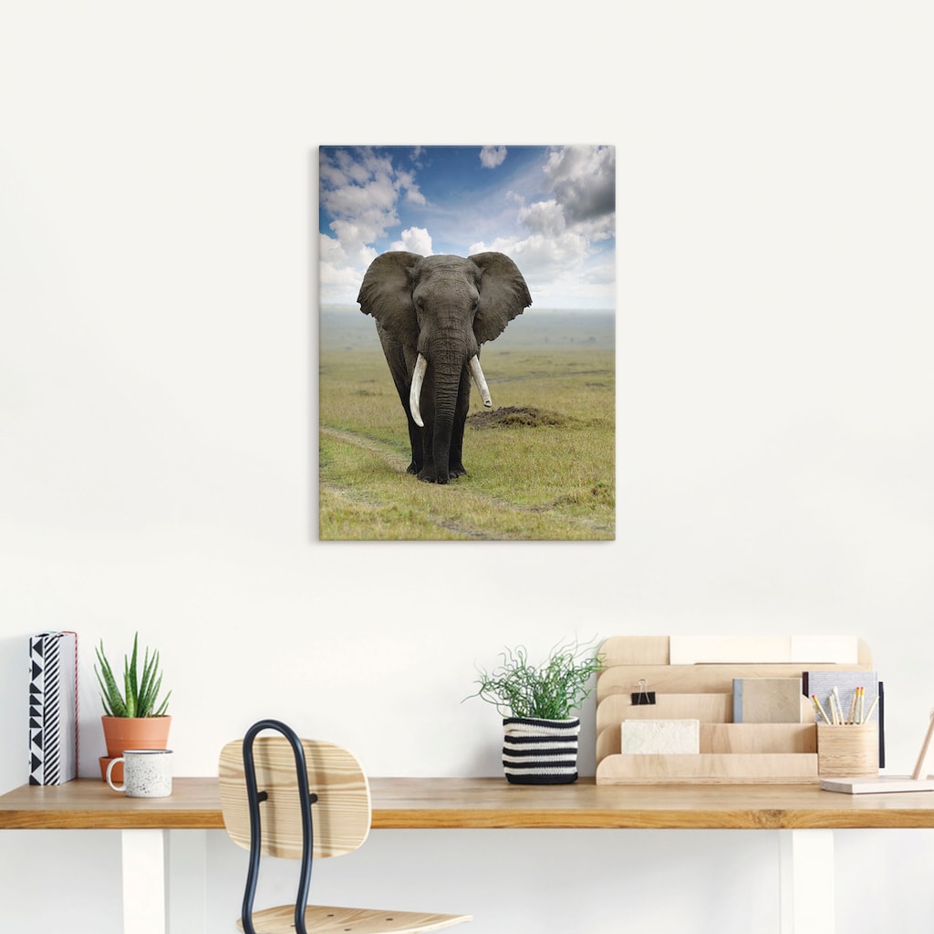 Artland Wandbild »Elefant«, Wildtiere, (1 St.)