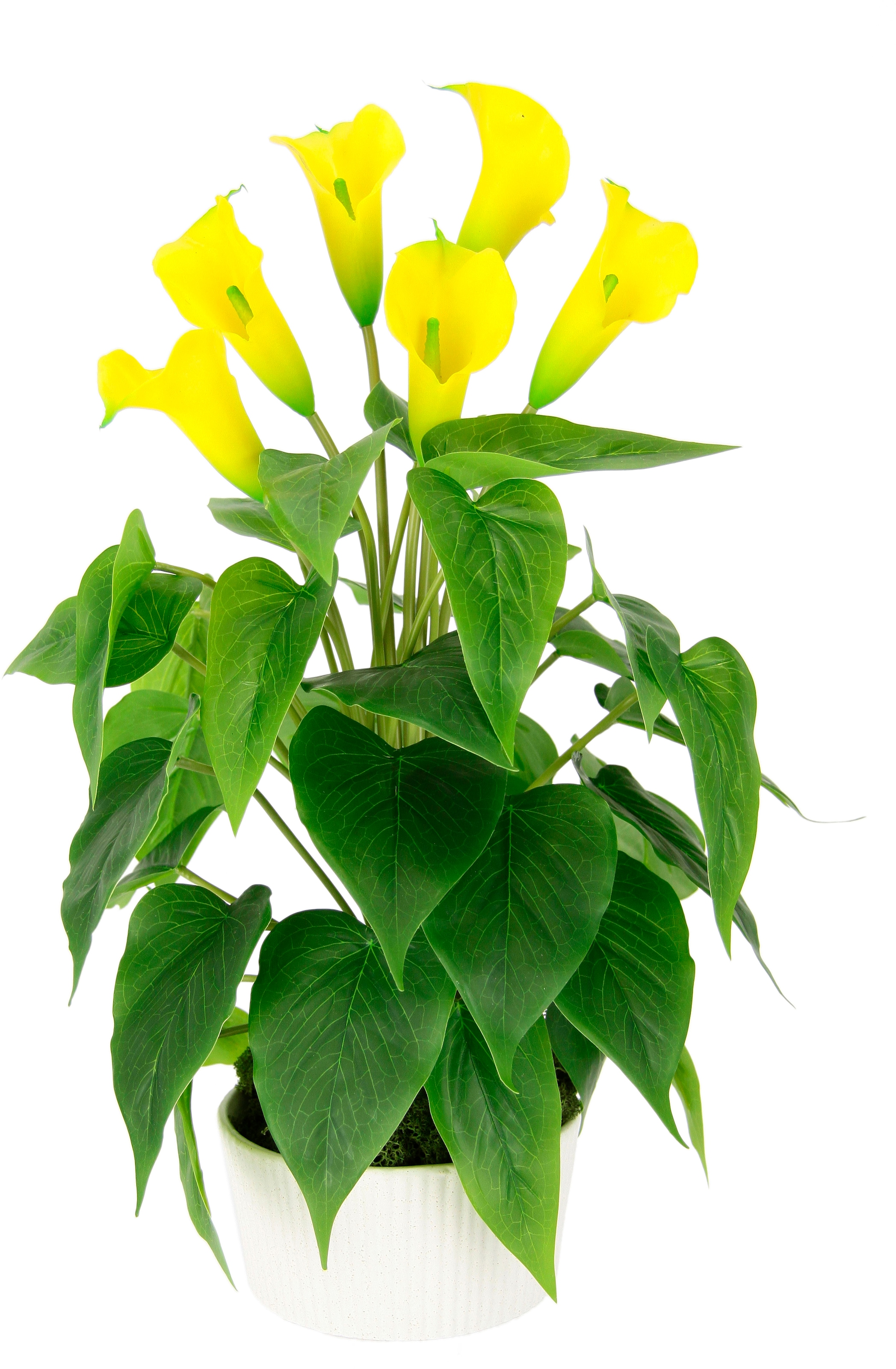 I.GE.A. Kunstblume »Calla«, Im Topf aus Keramik Kunstpflanze Künstliche Blumen Seidenblumen