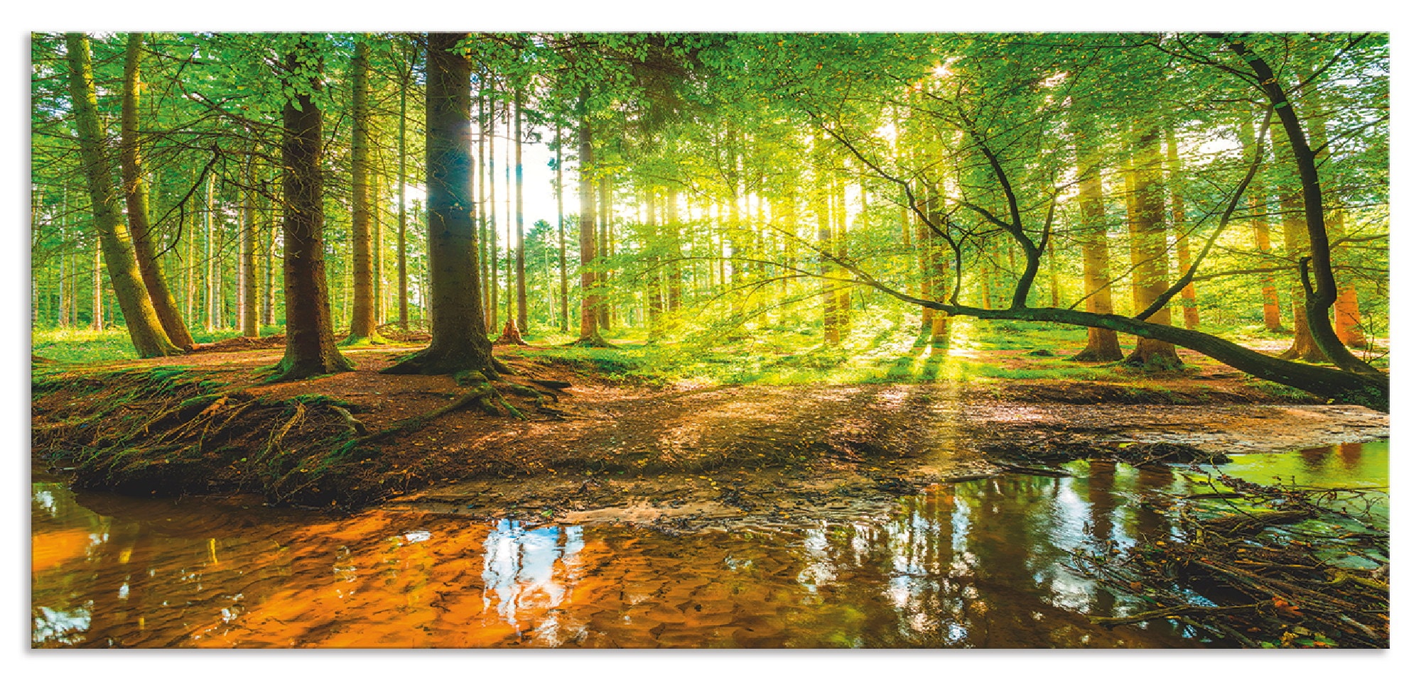 Artland Küchenrückwand »Wald mit Bach«, (1 tlg.), Alu Spritzschutz mit Klebeband, einfache Montage