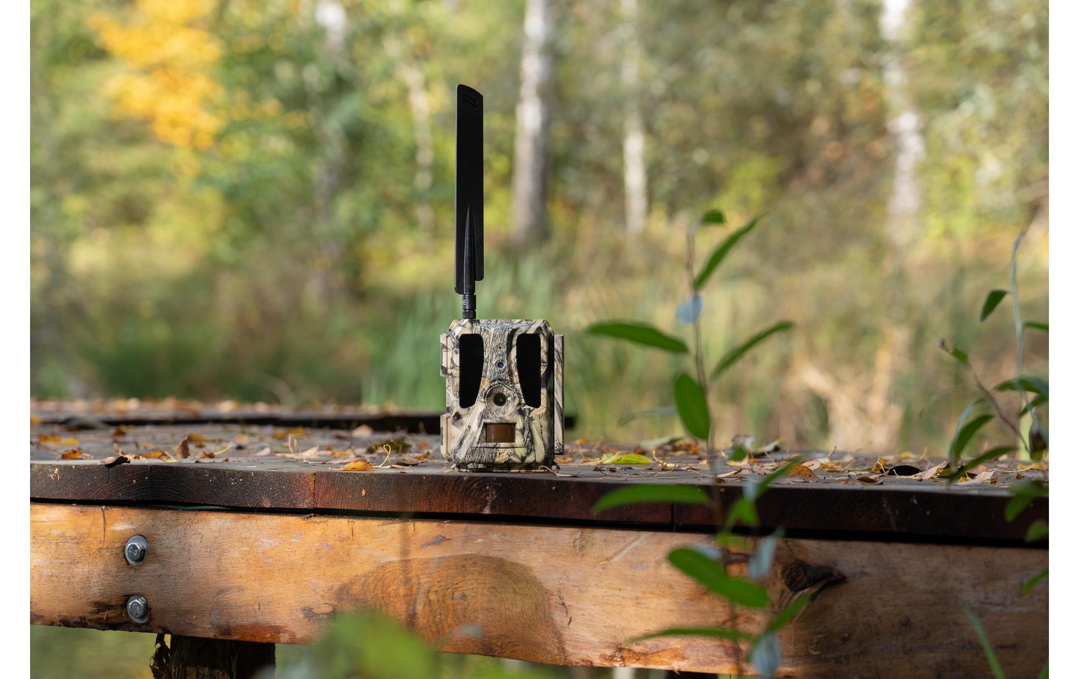 Wildkamera »Dörr Wildkamera SnapShot Cloud Pro 4G WA«, Aussenbereich