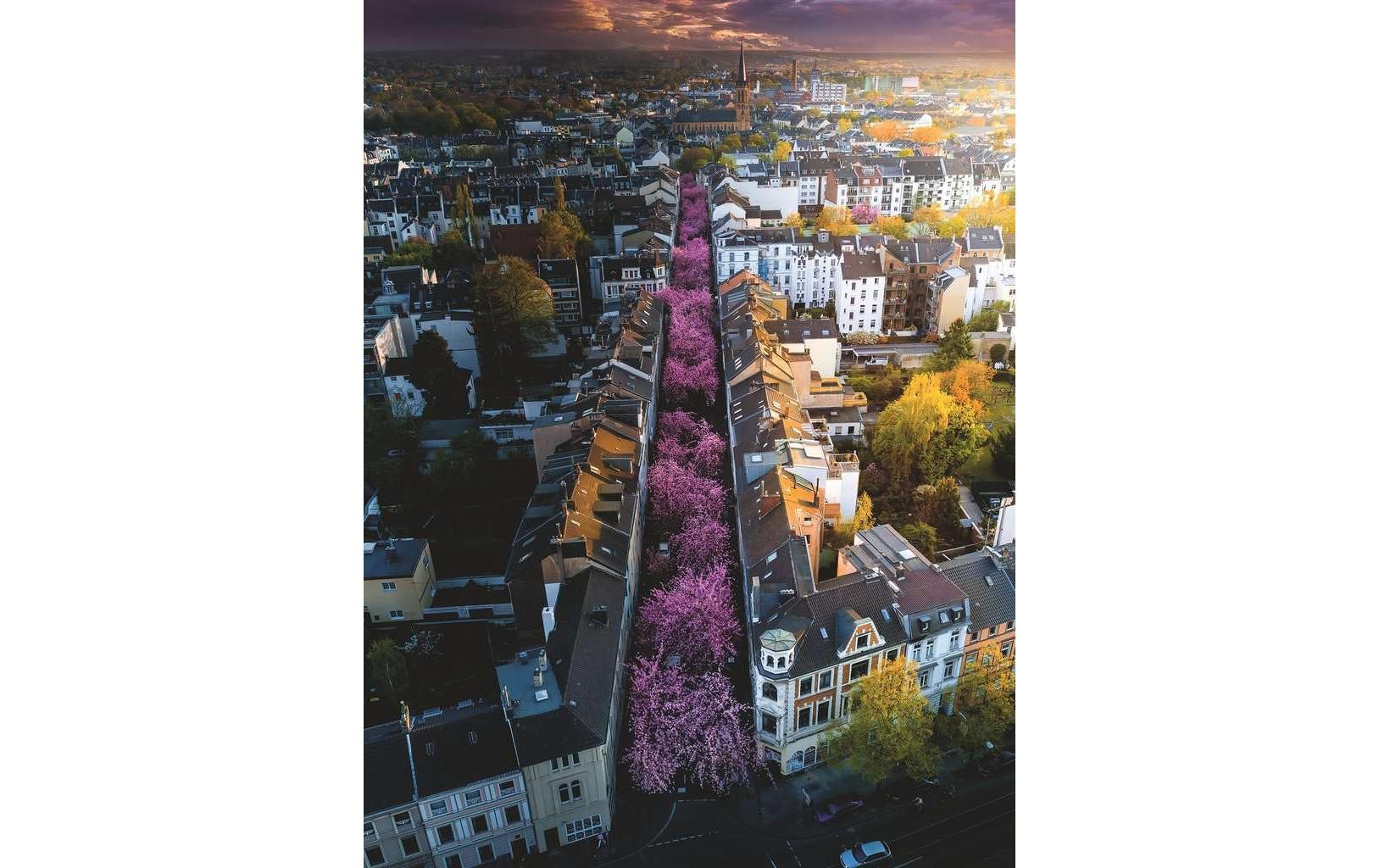 Ravensburger Puzzle »Blühendes Bonn«