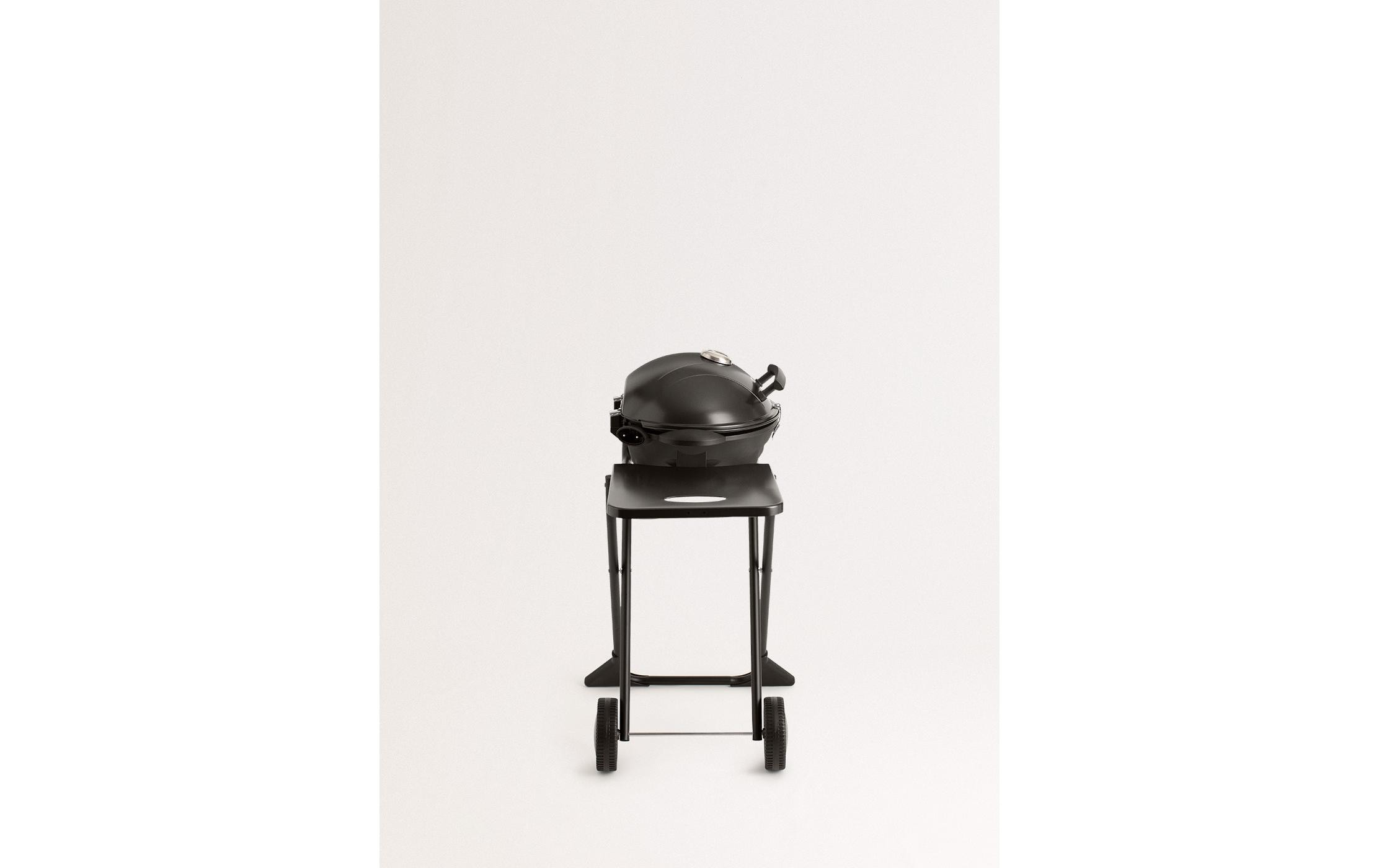 Elektro-Standgrill »Create BBQ SURFACE 2 IN 1«