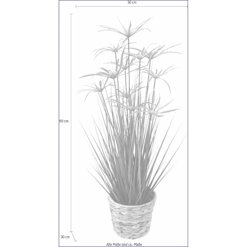 I.GE.A. Kunstpflanze »Zyperngras in Wasserhyazinthentopf«