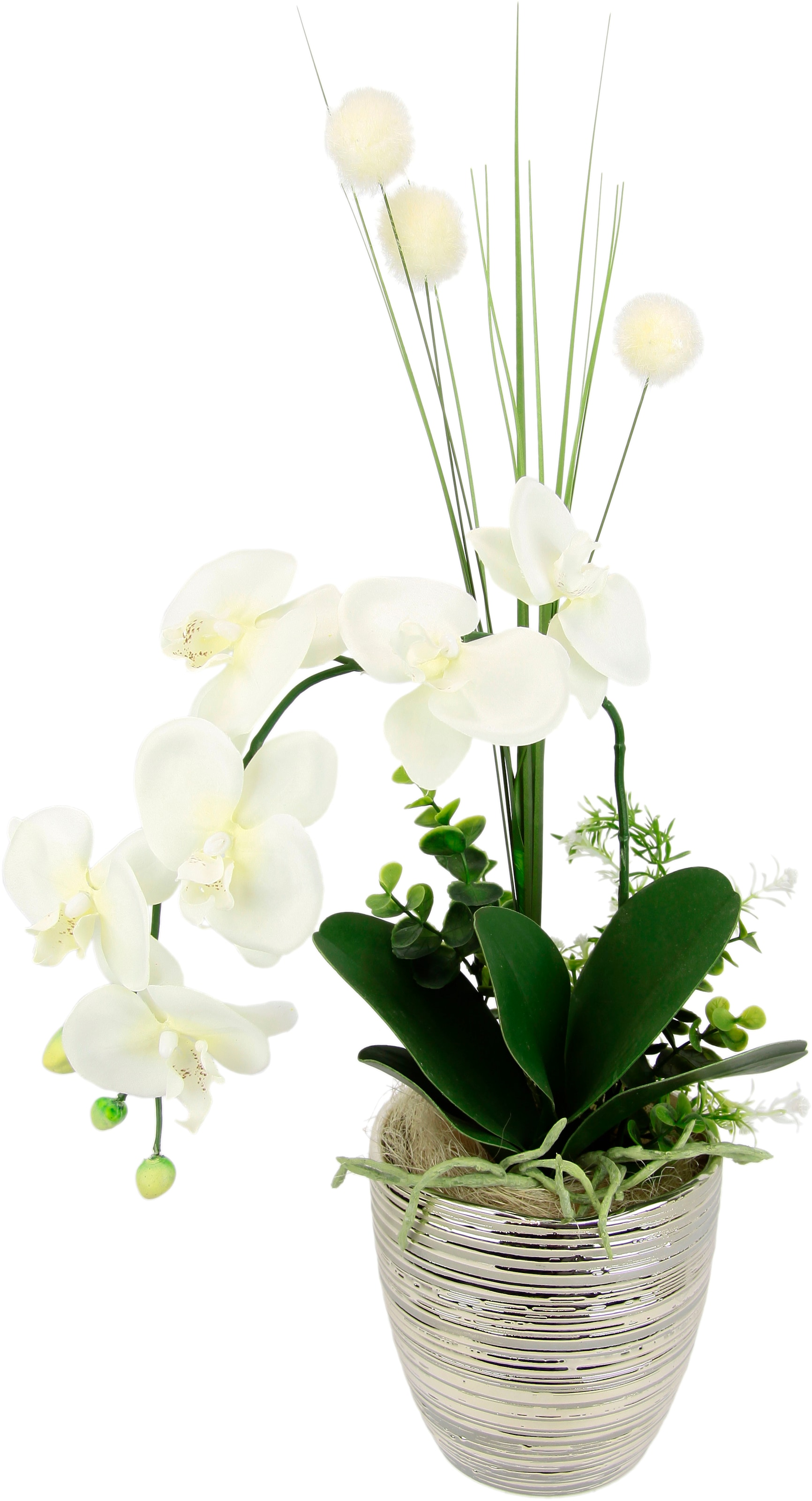 I.GE.A. Kunstblume »Arrangement Orchidee/Gras«, Topf aus Keramik online  bestellen | Jelmoli-Versand