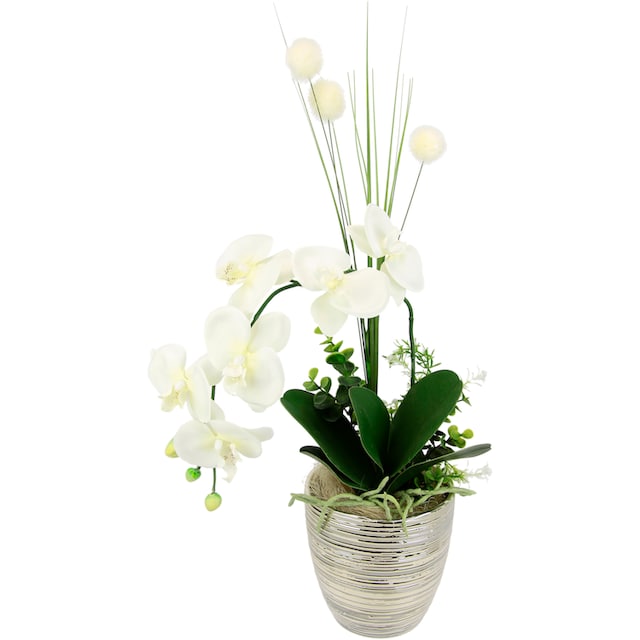 I.GE.A. Kunstblume »Arrangement Orchidee/Gras«, Topf aus Keramik online  bestellen | Jelmoli-Versand
