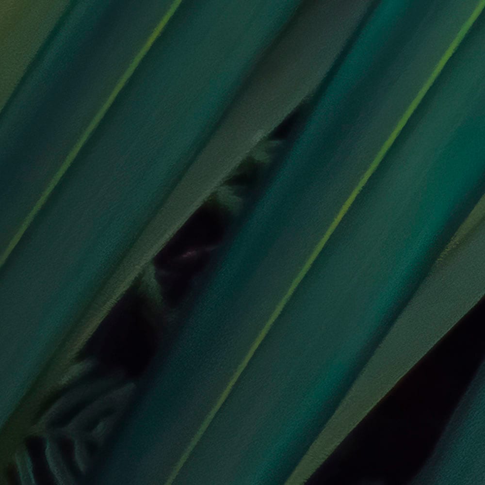Komar Fototapete »Digitaldruck Vlies - Amazon Fern - Grösse 400 x 250 cm«, bedruckt, Wohnzimmer, Schlafzimmer