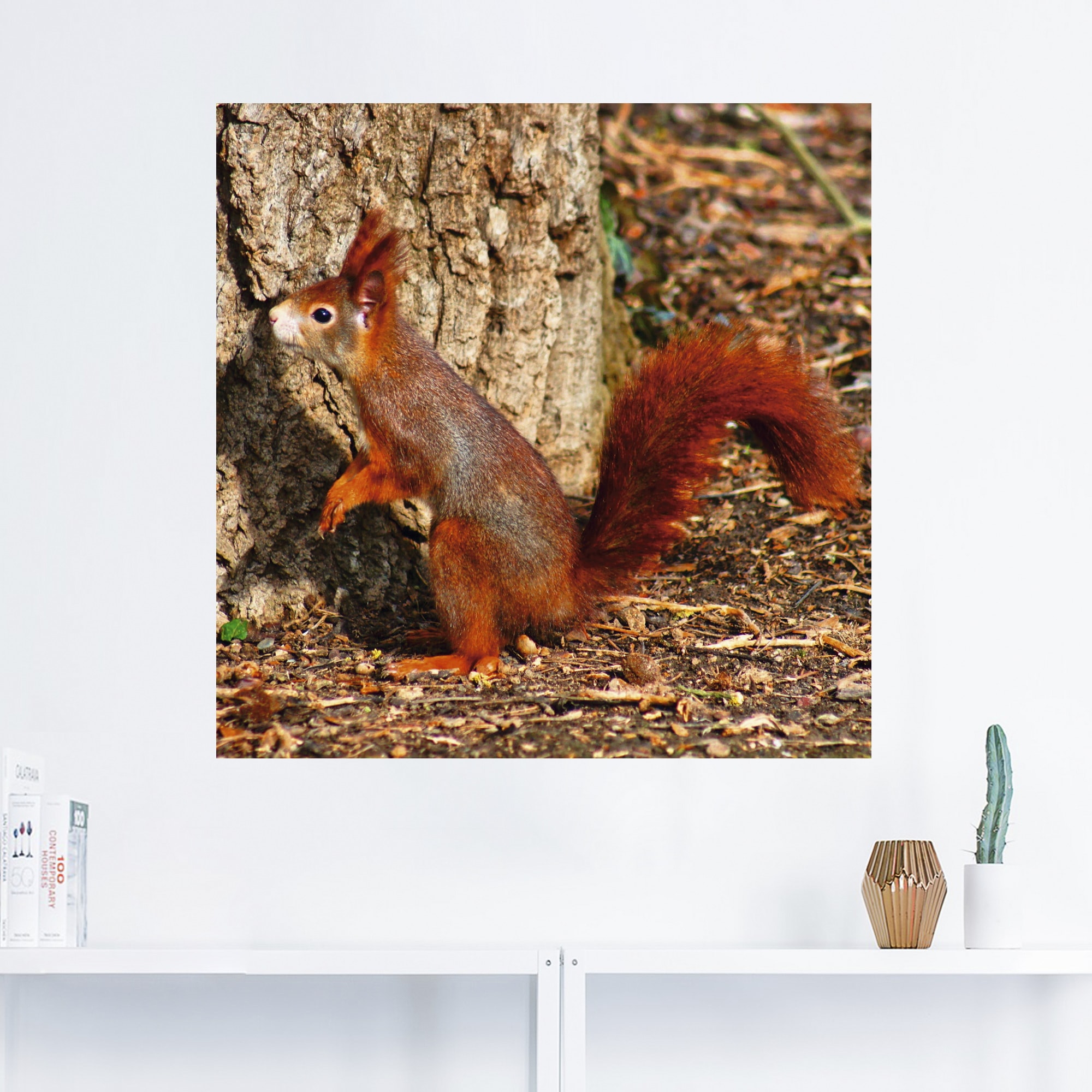Artland Wandbild »Rotes Eichhörnchen will hoch hinaus«, Wildtiere, (1 St.),  als Alubild, Leinwandbild, Wandaufkleber oder Poster in versch. Grössen  online shoppen | Jelmoli-Versand | Poster