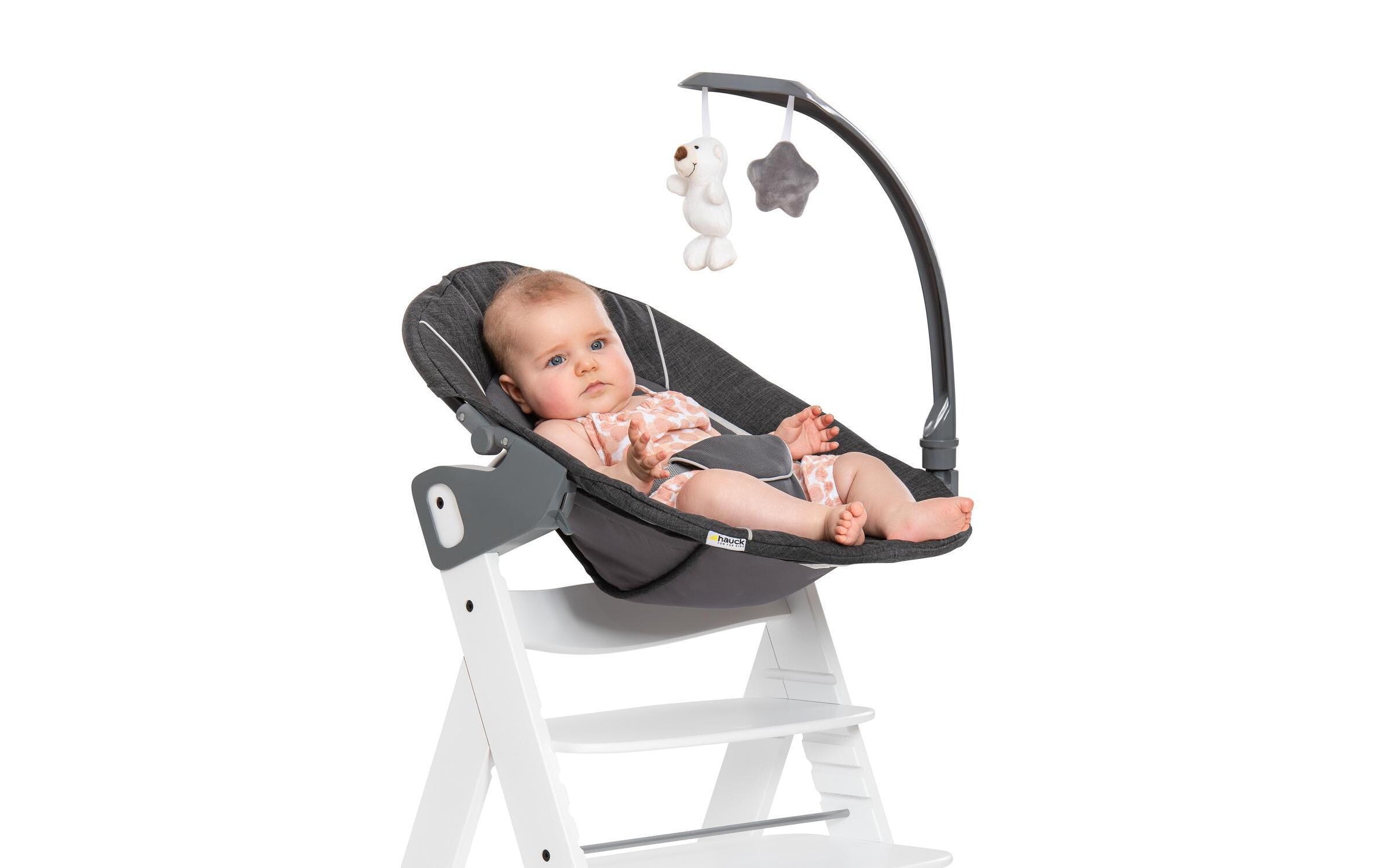 Hauck Hochstuhlaufsatz »Alpha bouncer 2in1« bis