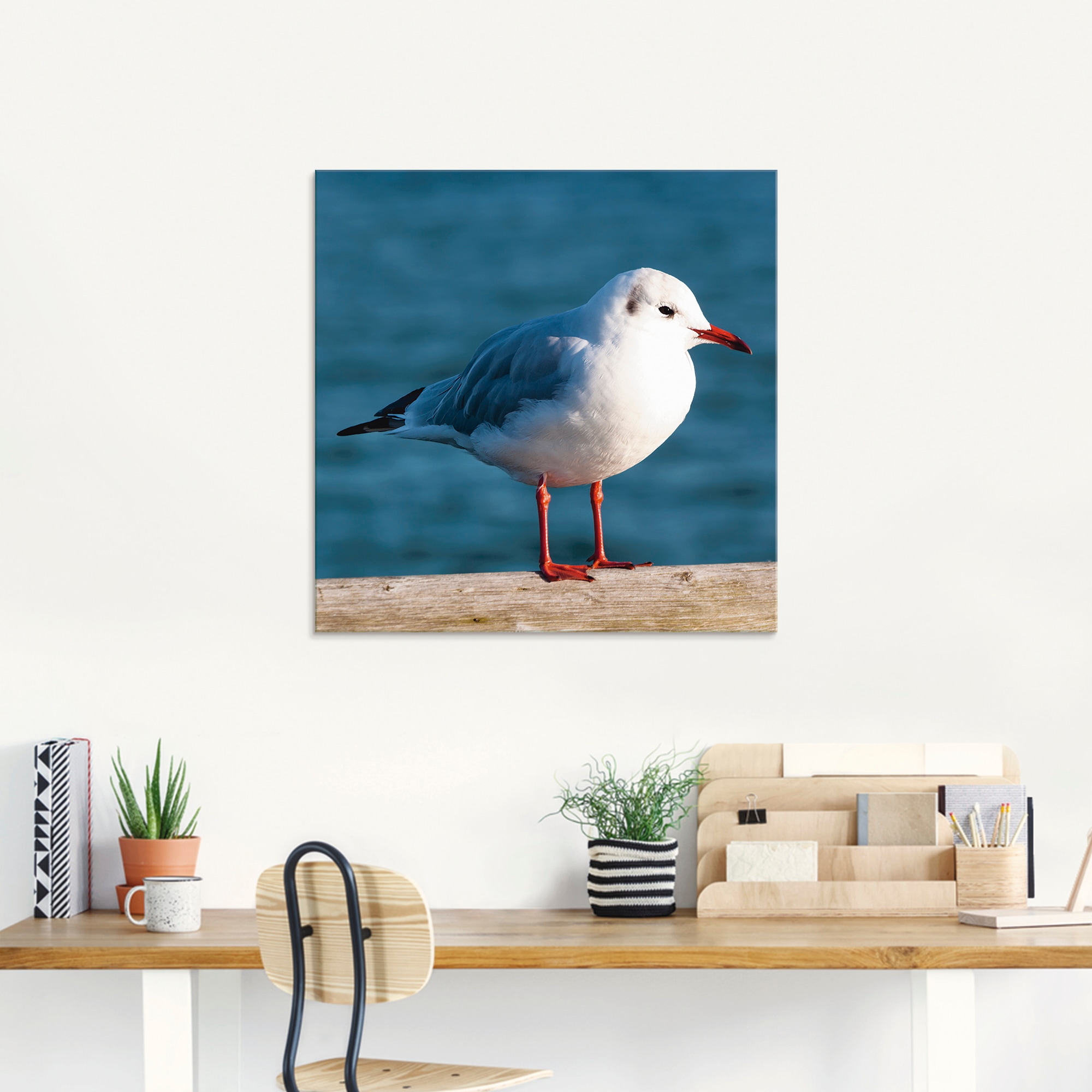 Artland Glasbild »Möwe«, Vögel, (1 St.), in verschiedenen Grössen