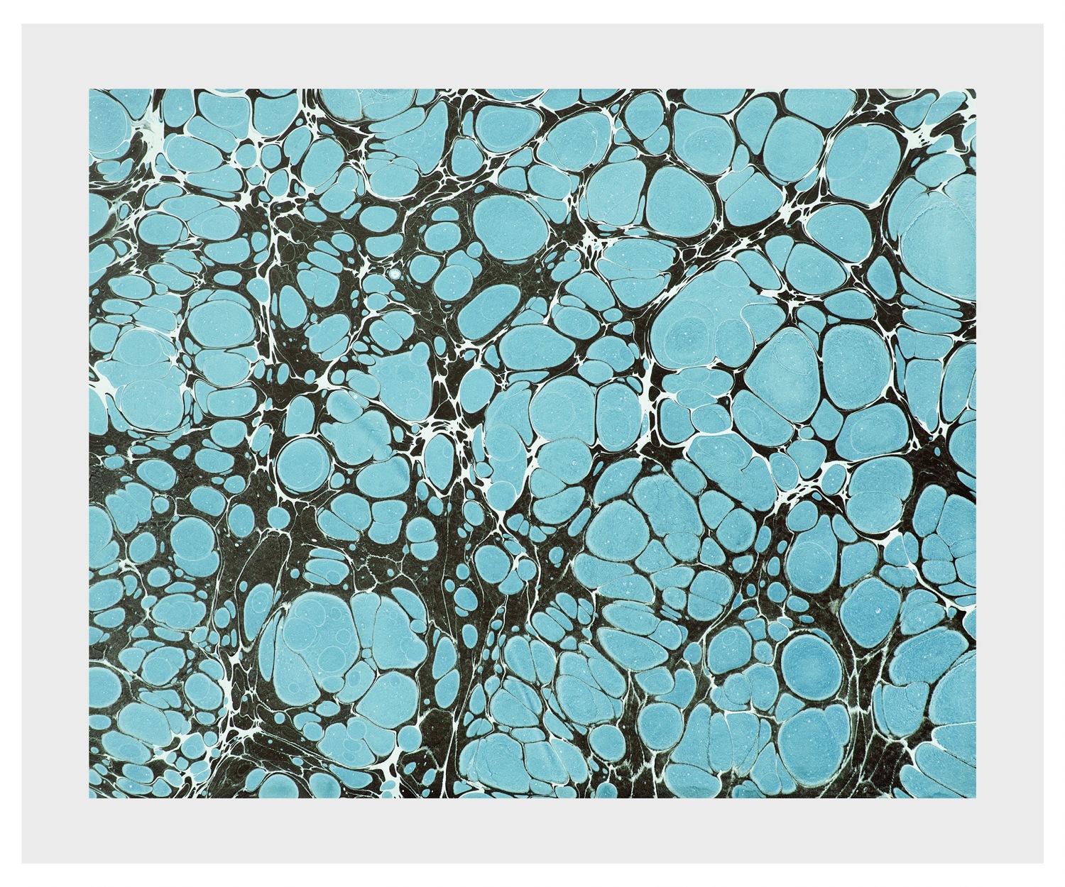 queence Bild "Flora" Abstrakt  Kunst