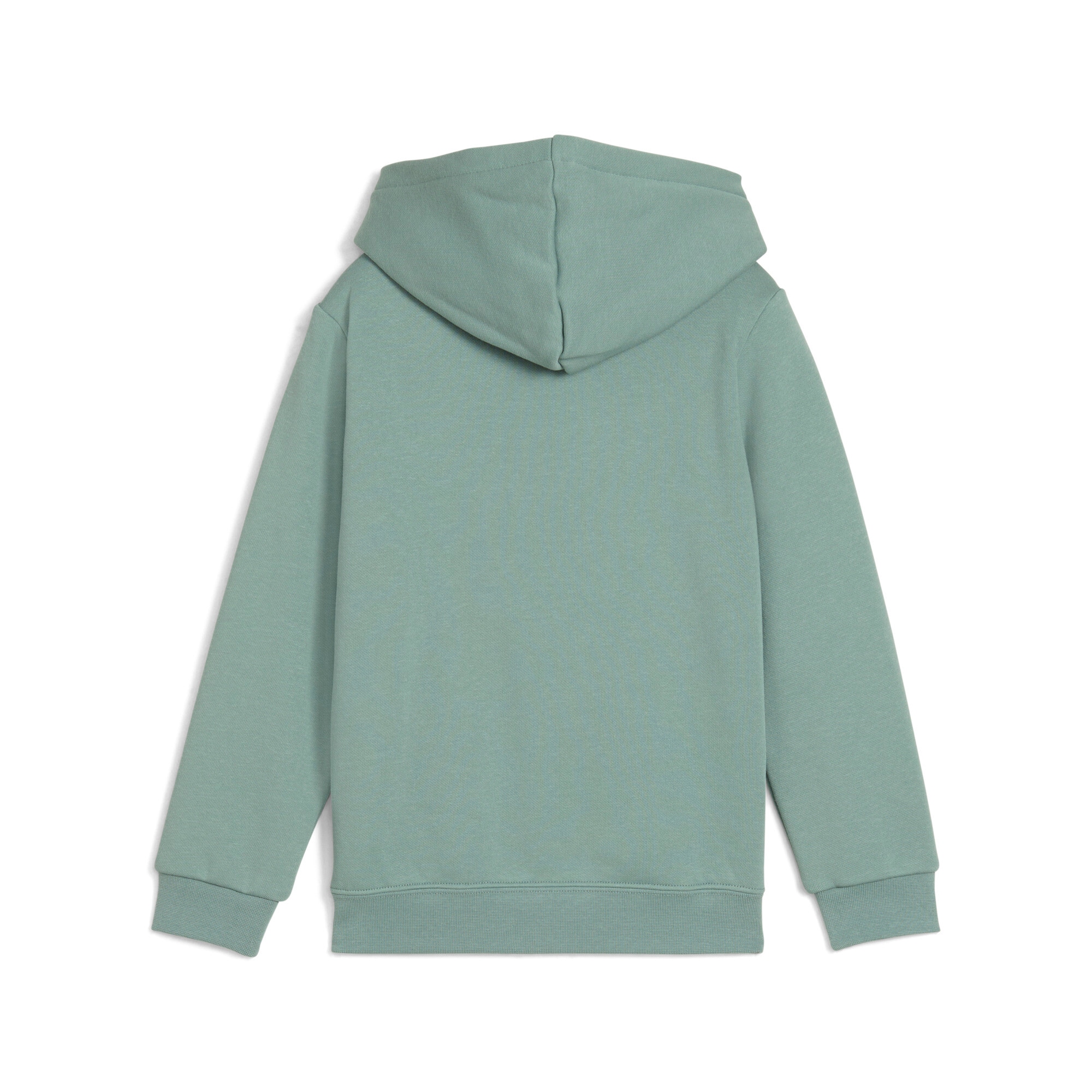PUMA Kapuzensweatshirt »ESS NO. 1 LOGO HOODIE FL PS«
