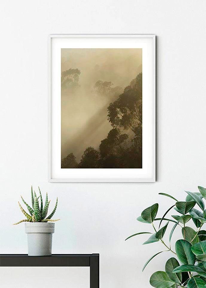 Komar Bild »Golden Light«, Natur, (1 St.), Wandbild zur Dekoration - ohne Rahmen