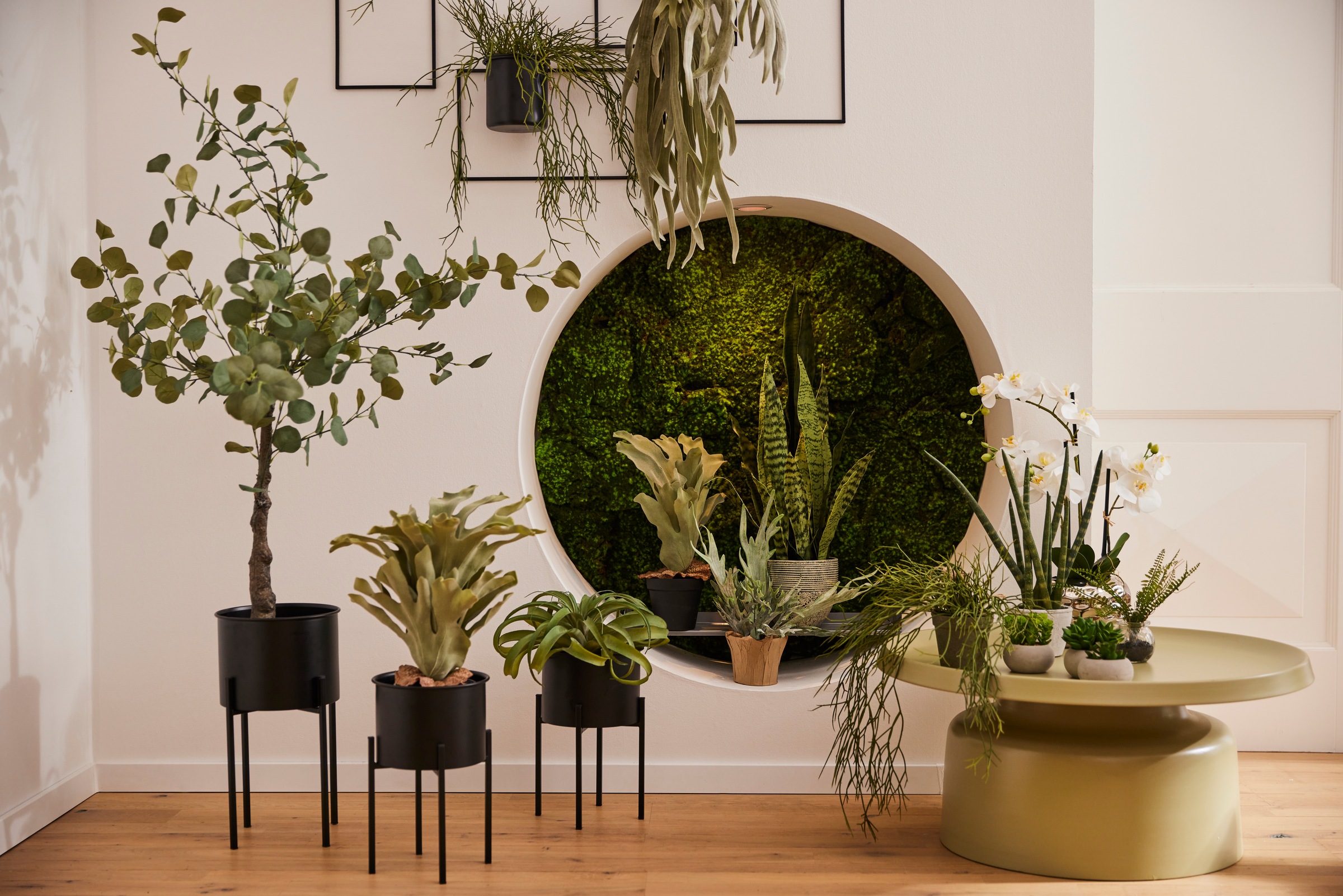 Creativ green Kunstranke »Rhipsalishänger«