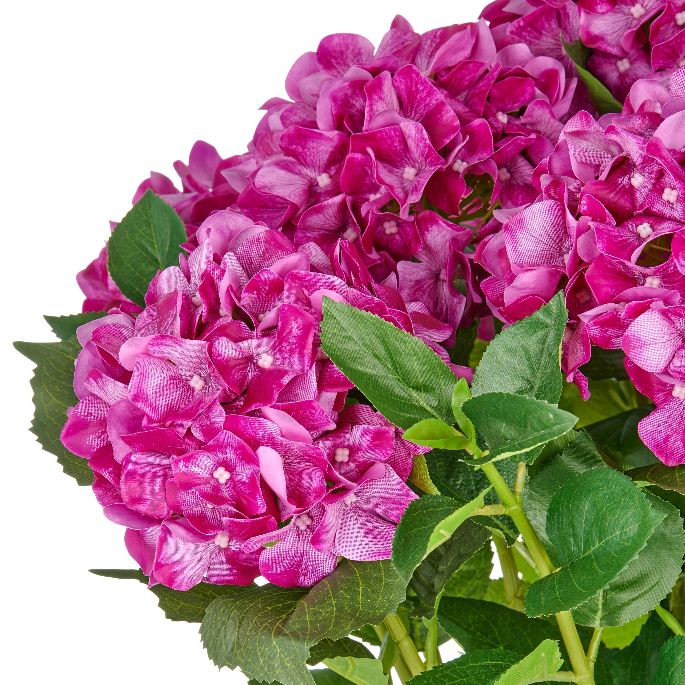 Creativ green Kunstpflanze »Hortensie«, im eleganten Topf