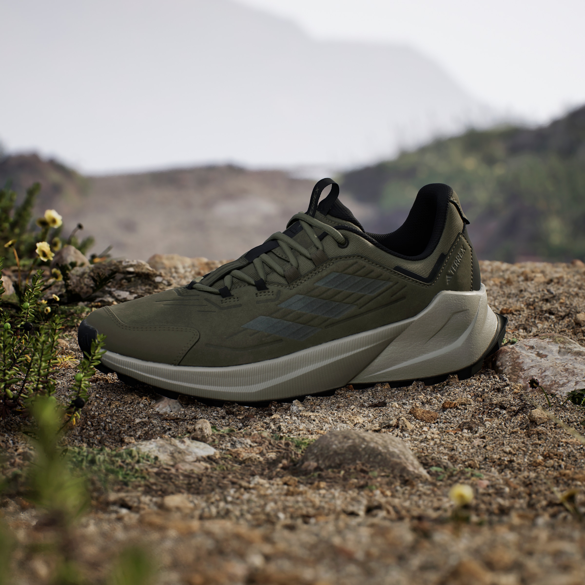 adidas TERREX Wanderschuh »TERREX TRAILMAKER 2.0 LEATHER«