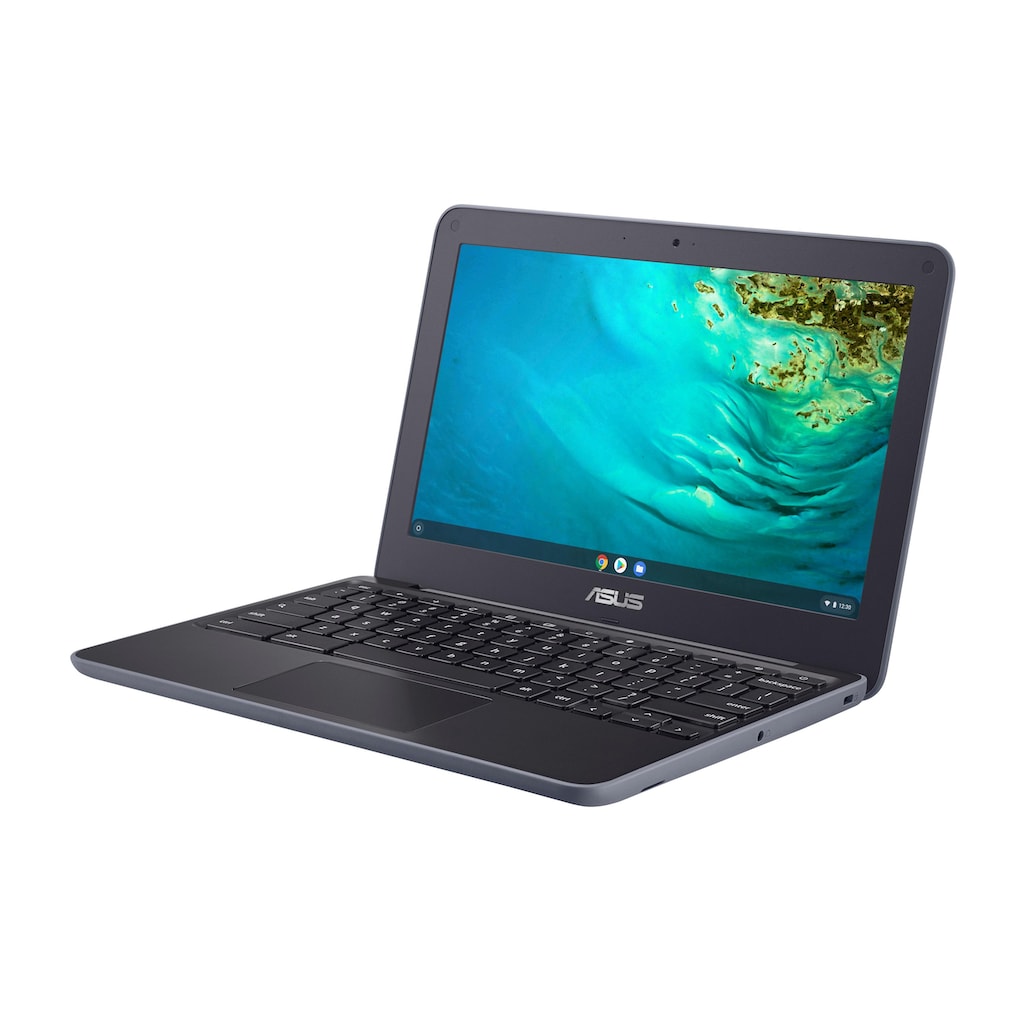 Asus Notebook »C202XA-GJ0027«, 29,34 cm, / 11,6 Zoll, GX6250