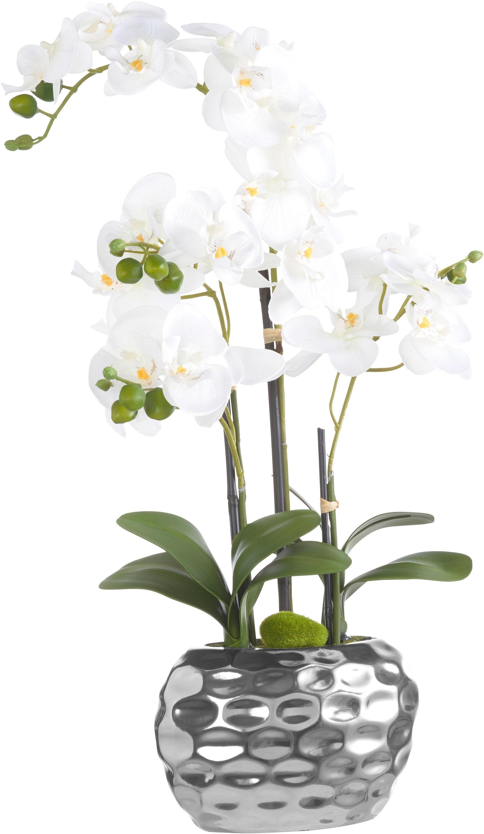 Creativ green Kunstpflanze »Orchidee« online shoppen Jelmoli-Versand 