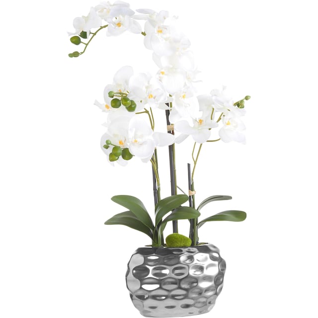 Creativ green Kunstpflanze »Orchidee« online shoppen | Jelmoli-Versand
