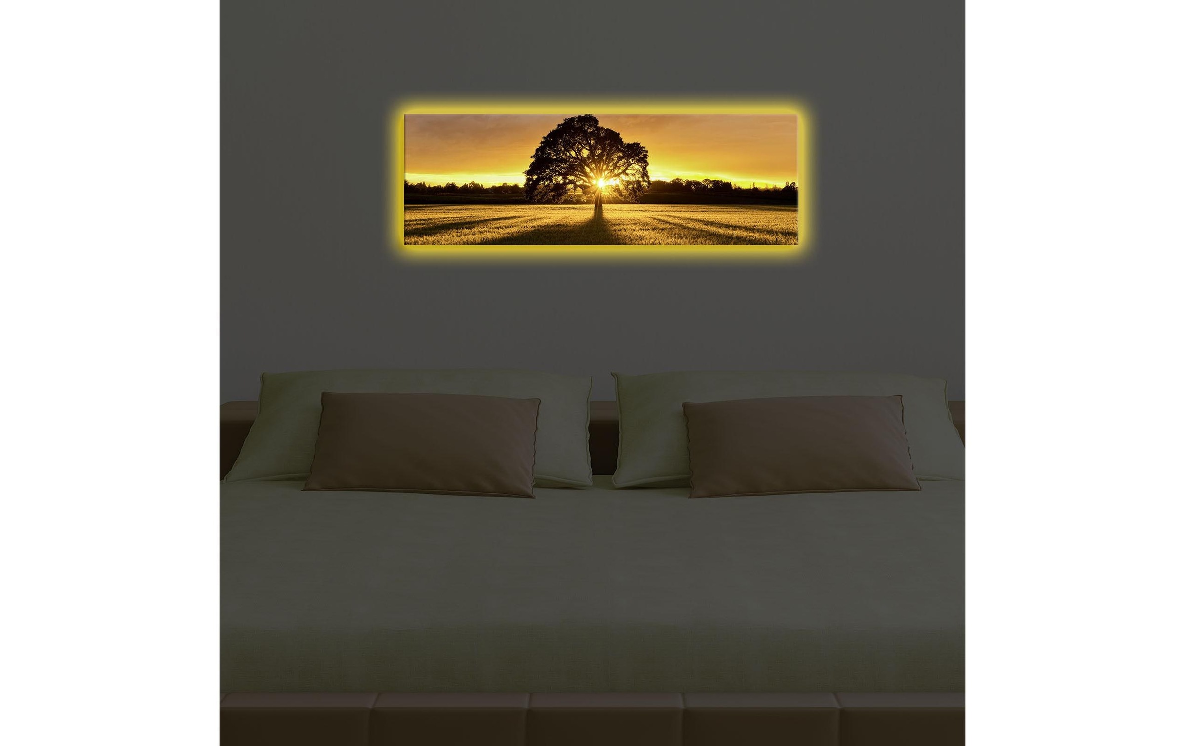 Wandbild »Wallxpert Tree«, Baum